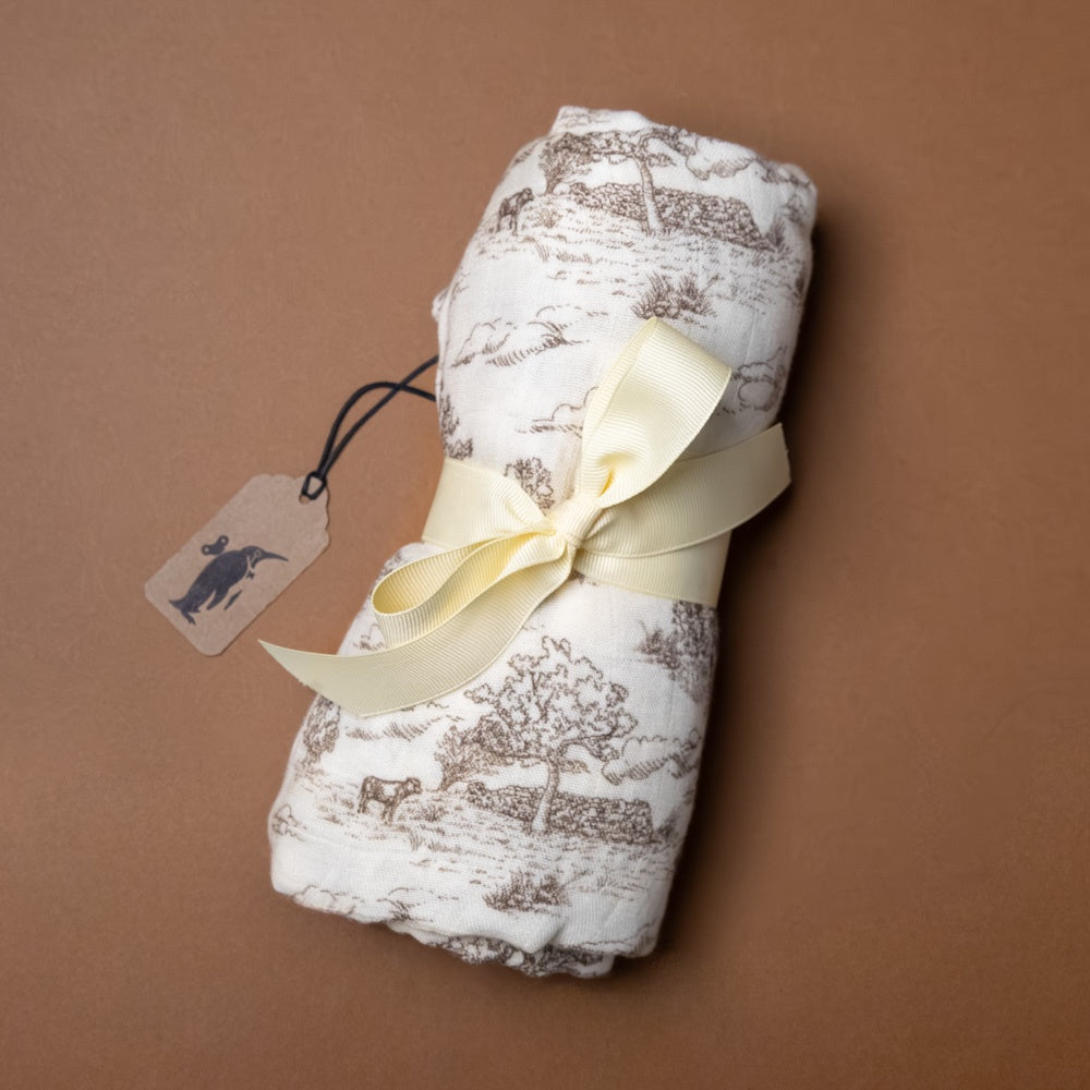bamboo-swaddle-meadow-toile