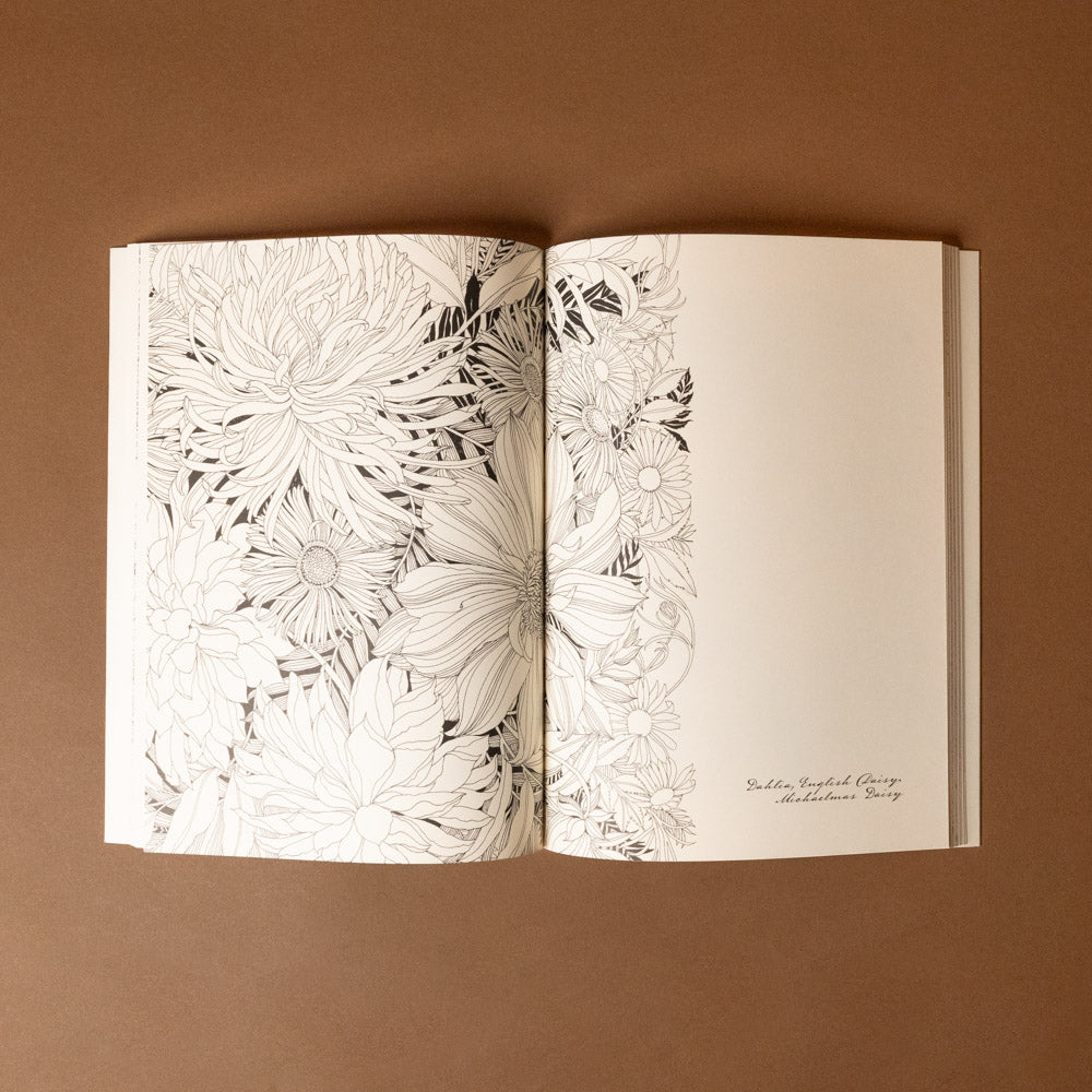 floribunda-year-a-flower-coloring-companion Open book with black floral line drawings on beige pages against a brown background