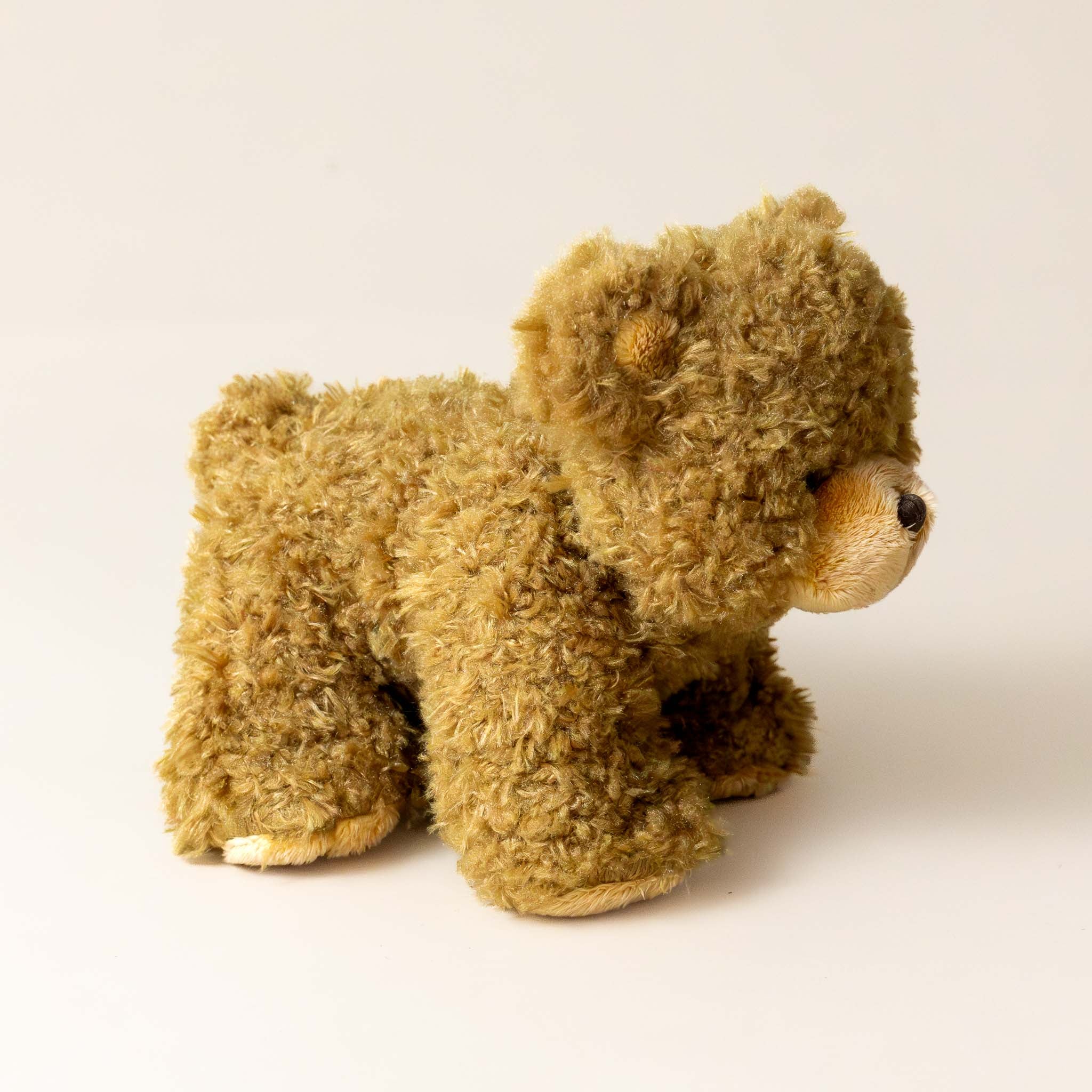 Gus the Bear | Medium