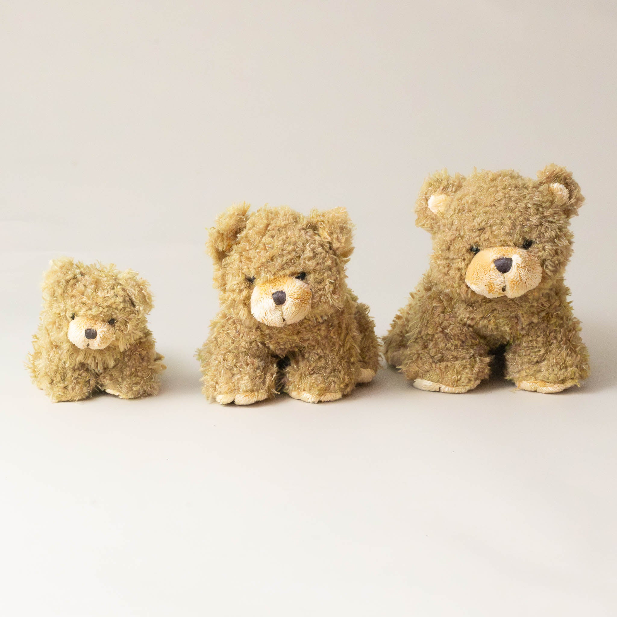 gus-the-bear-grande-medium-petit