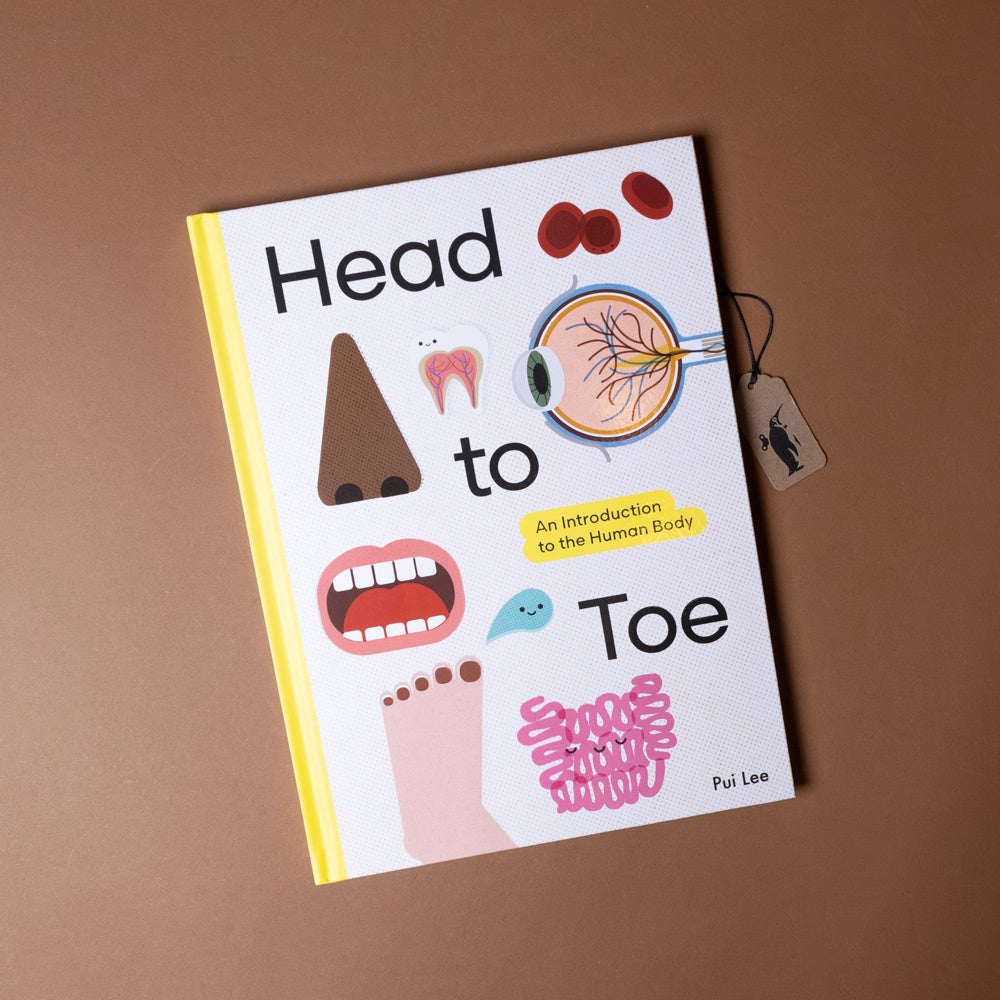 Book titled 'Head to Toe' on a brown background