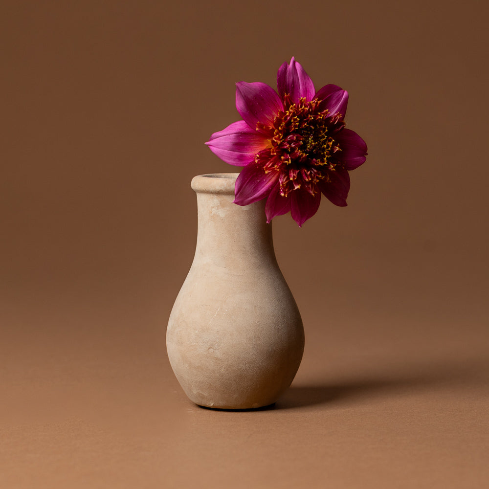 holden-bud-vase-small Beige vase with a pink flower on a brown background