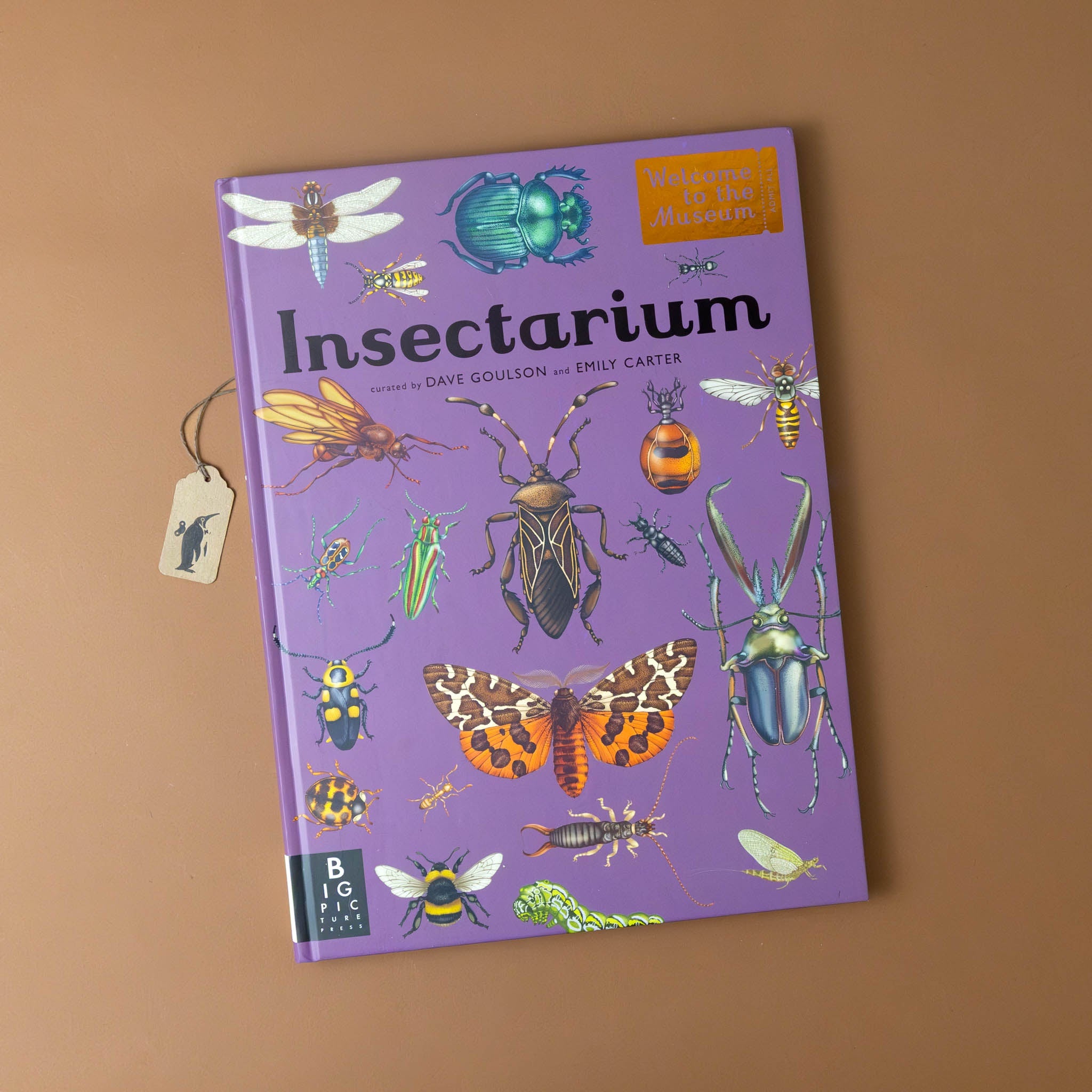 insectarium-book-purple-cover-with-beetles-butterfles-and-other-insects