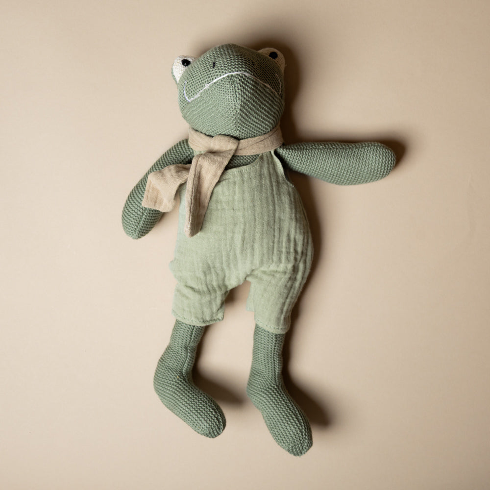 jeremy-the-frog-plush-rattle