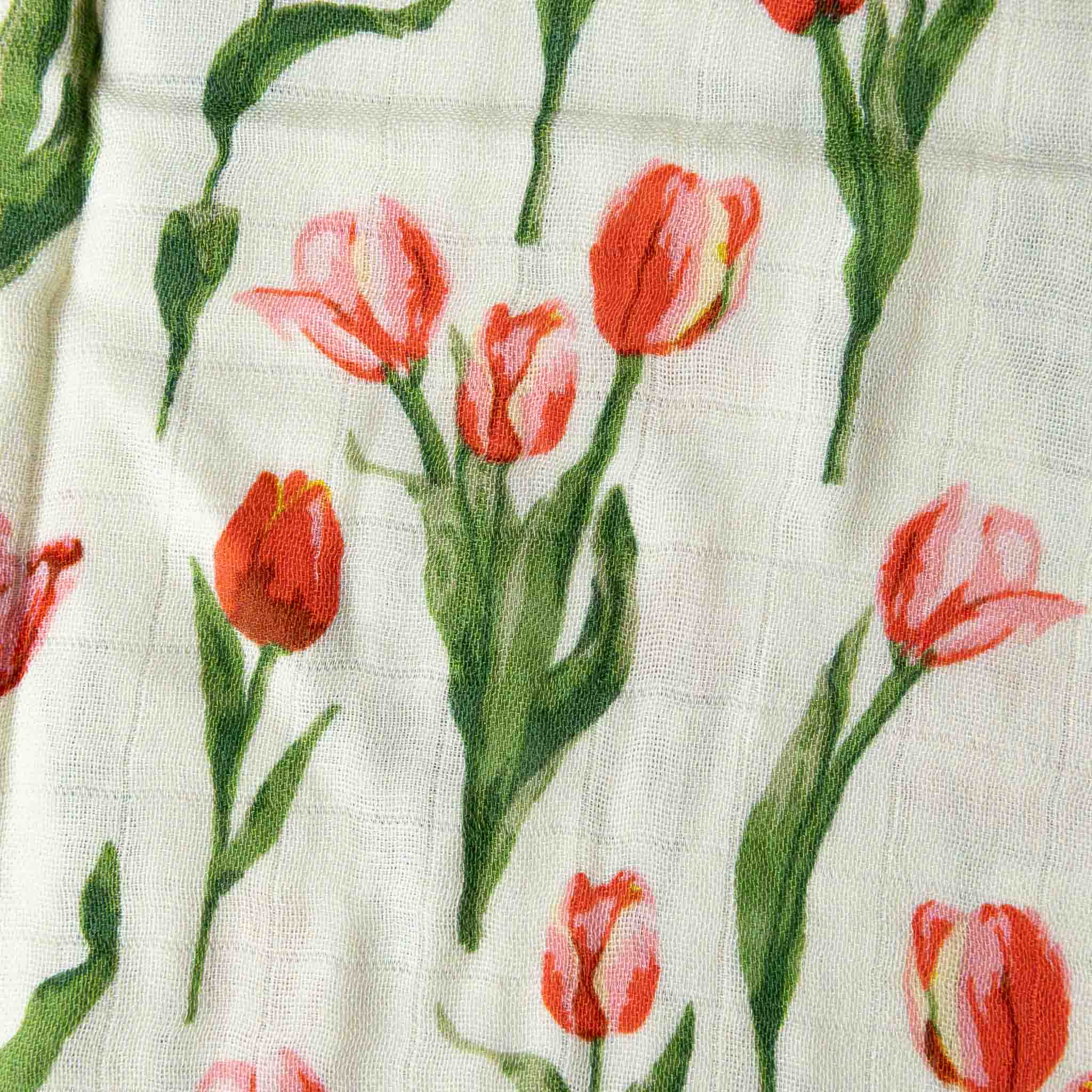 Little Lovie | Tulips