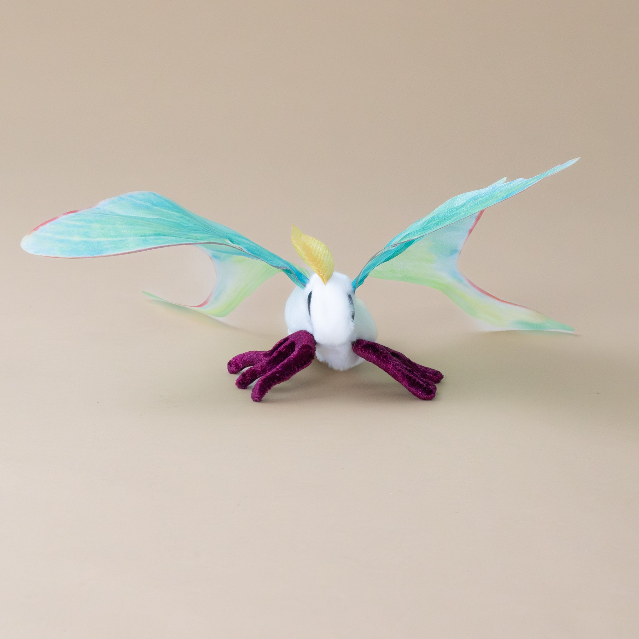 little-luna-moth-with-translucent-green-wings-white-body-and-magenta legs-front