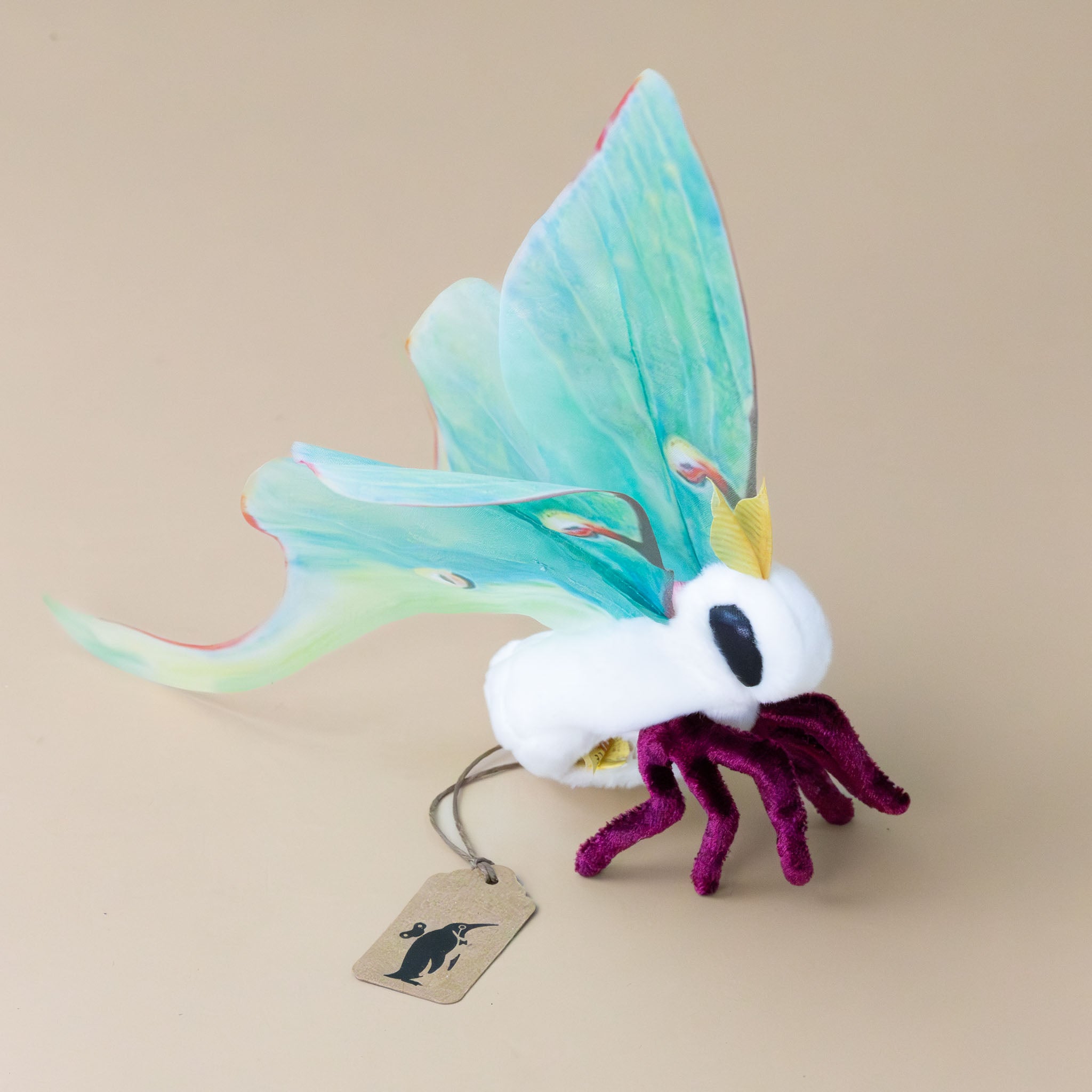 little-luna-moth-with-translucent-green-wings-white-body-and-magenta legs