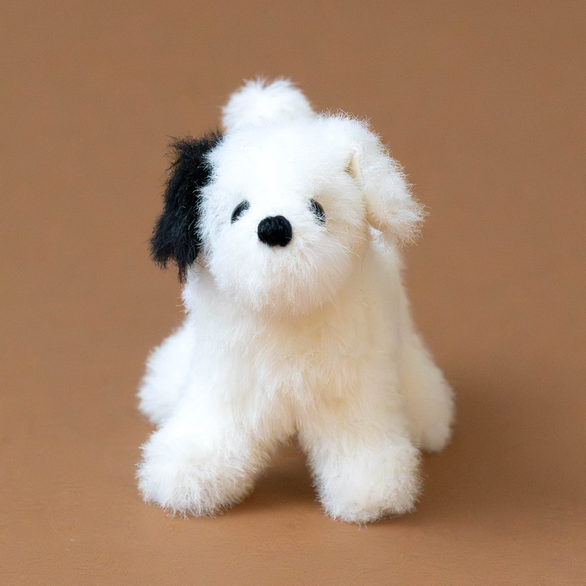 little-white-pup-standing-with-black-ear-front