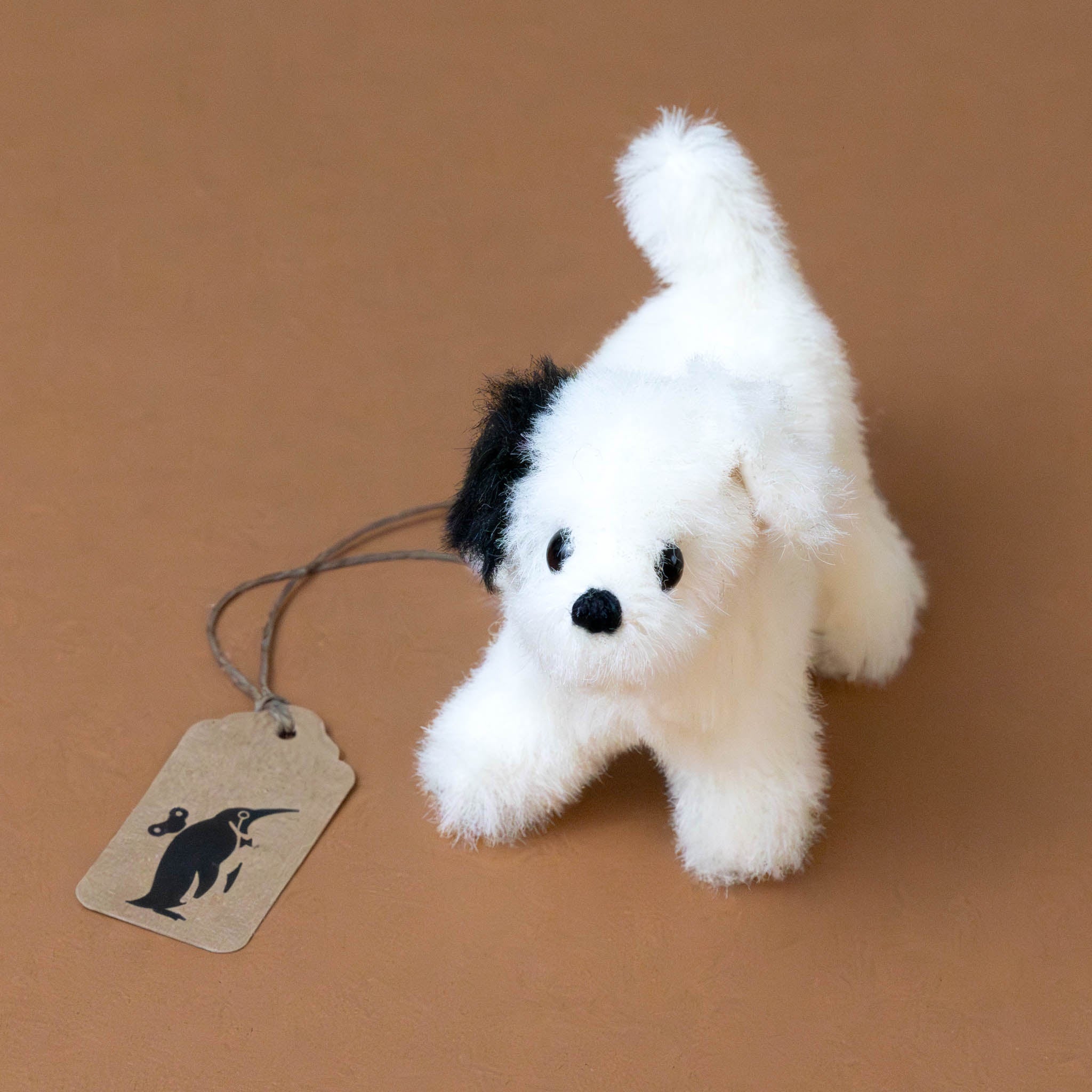 little-white-pup-standing-with-black-ear