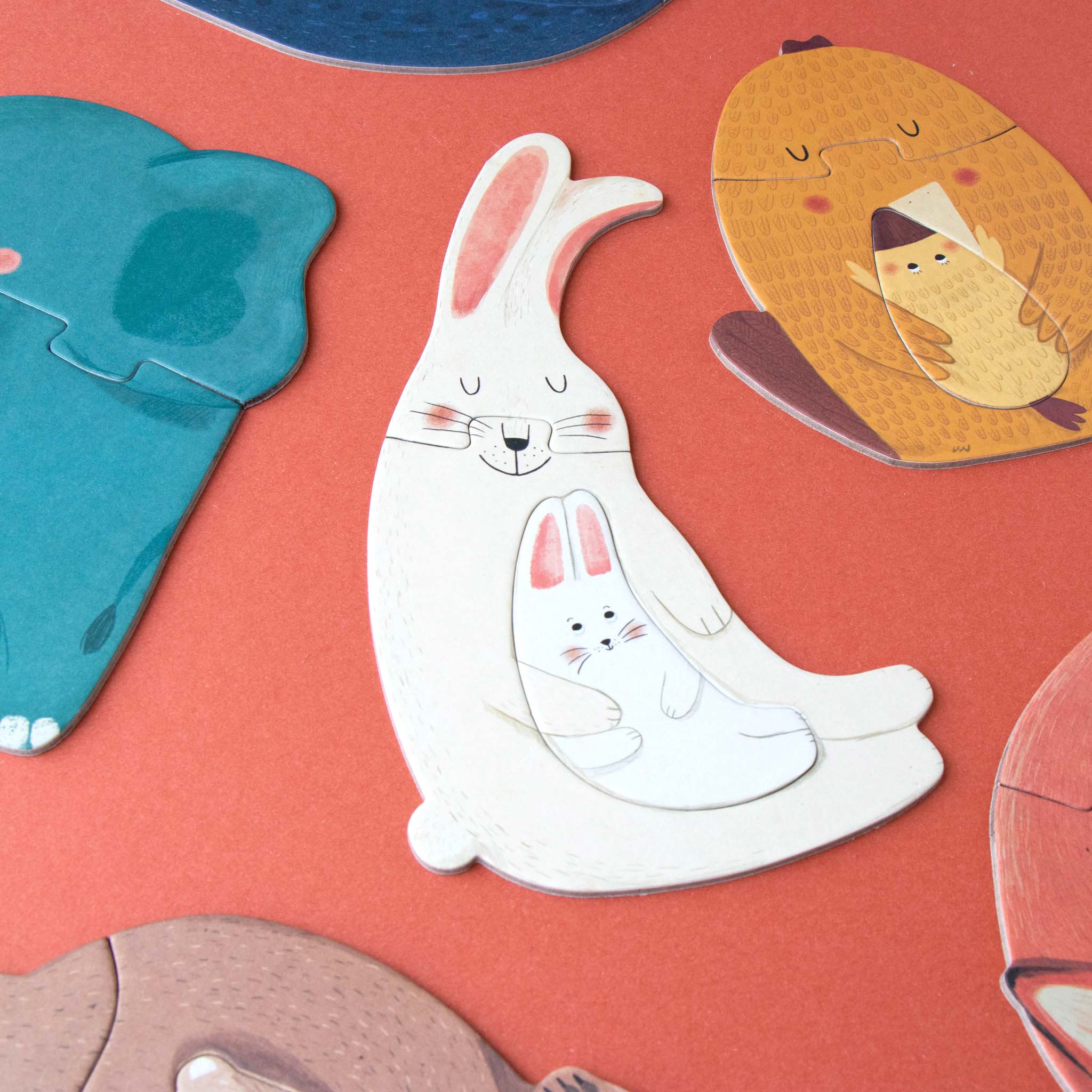 close-up-of-white-bunny-parent-and-bunny