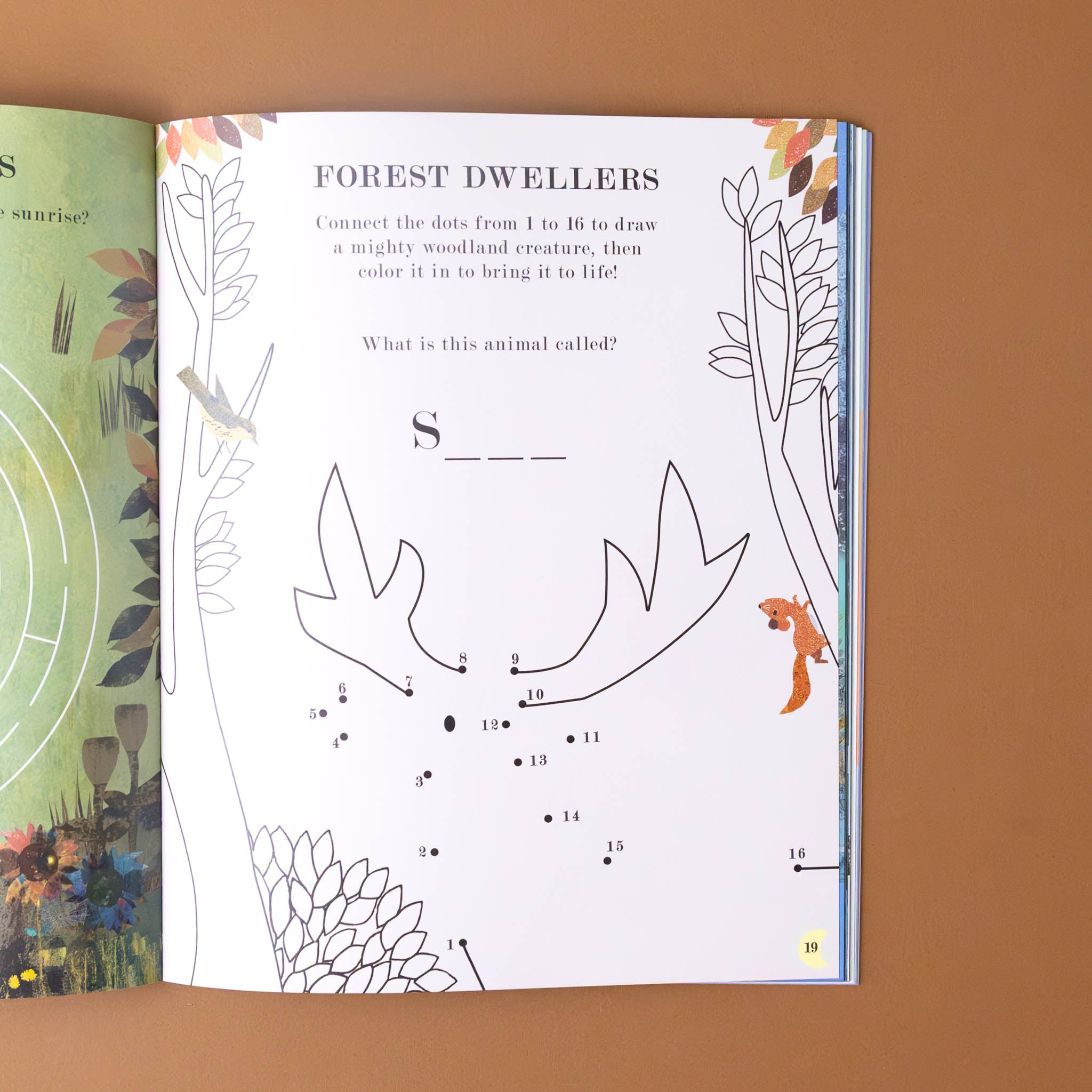 moon-a-peek-through-activity-book-dot-to-dot-page-with-moose-titled-forest-dwellers
