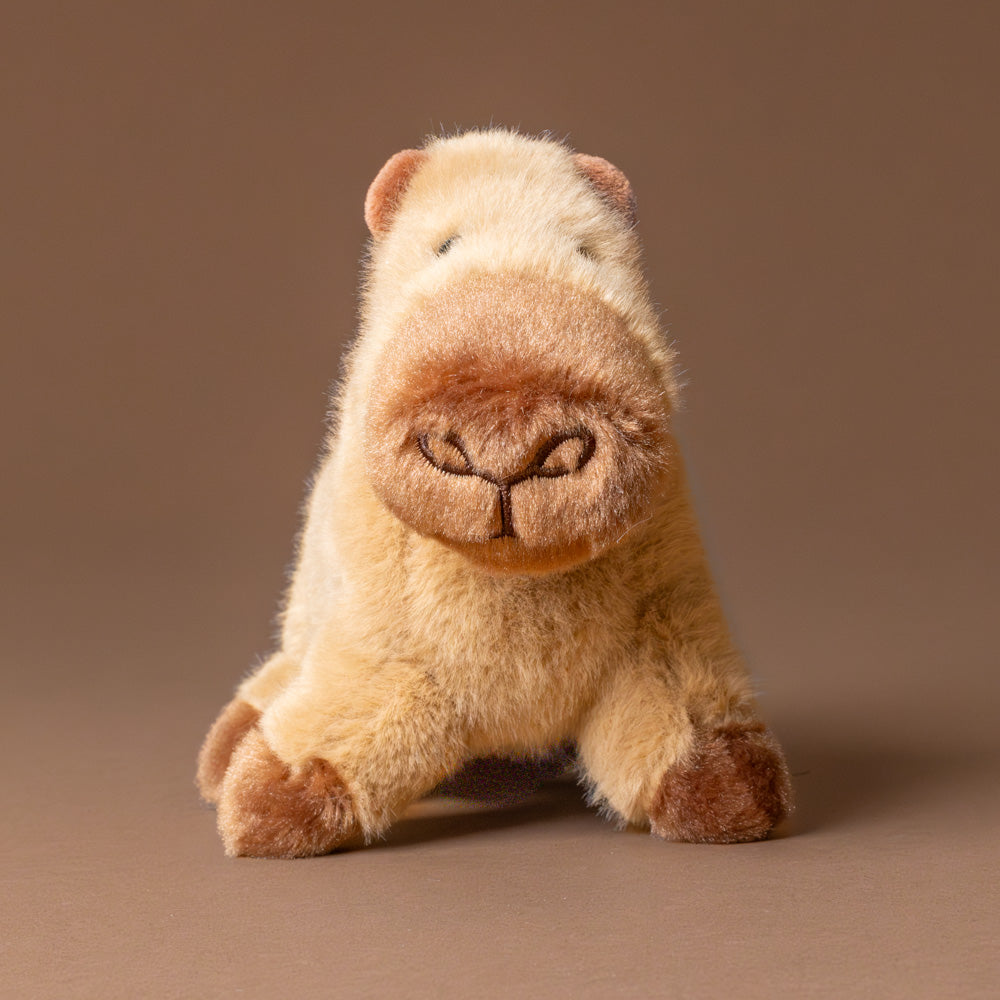 carmel-colored-muzzle-craig-capybara-stuffed-animal