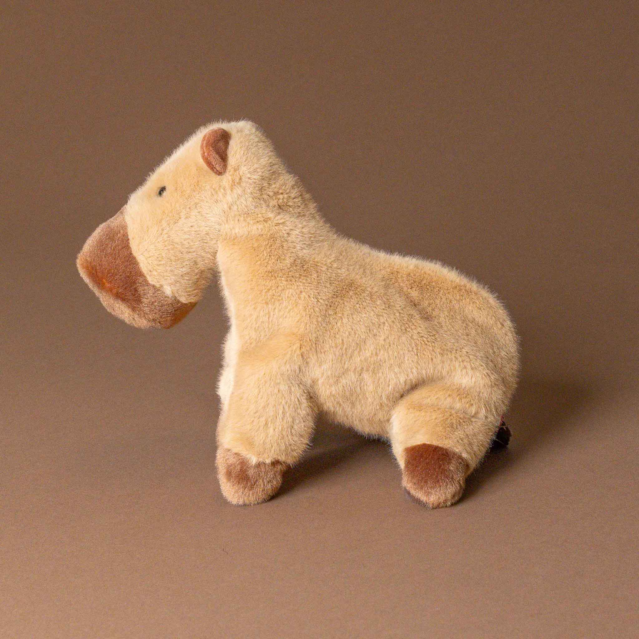 muzzle-craig-capybara-large-stuffed-animal