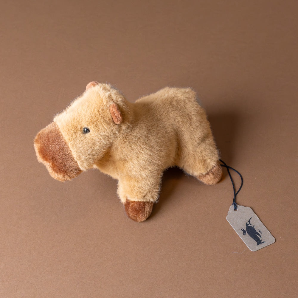 carmel-colored-muzzle-craig-capybara-stuffed-animal