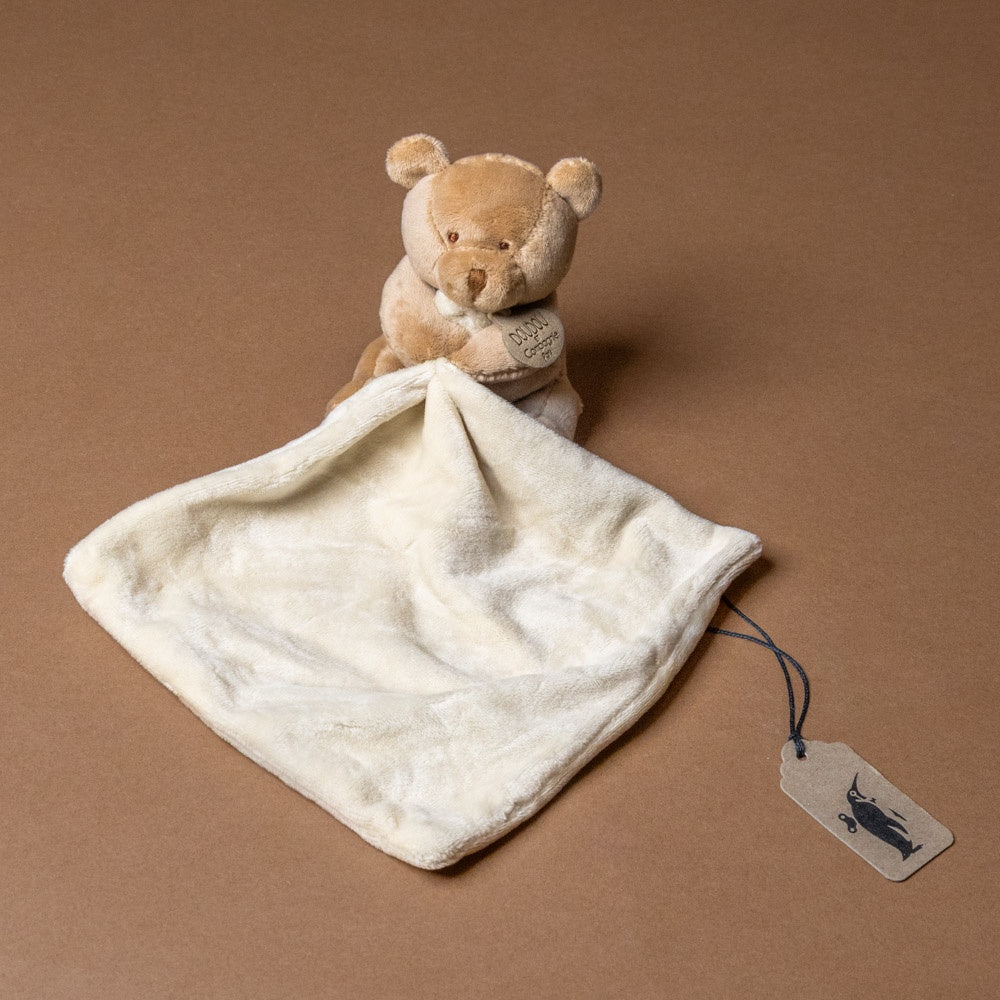 my-first-little-bear-with-lovie Teddy bear with a white blanket on a brown background