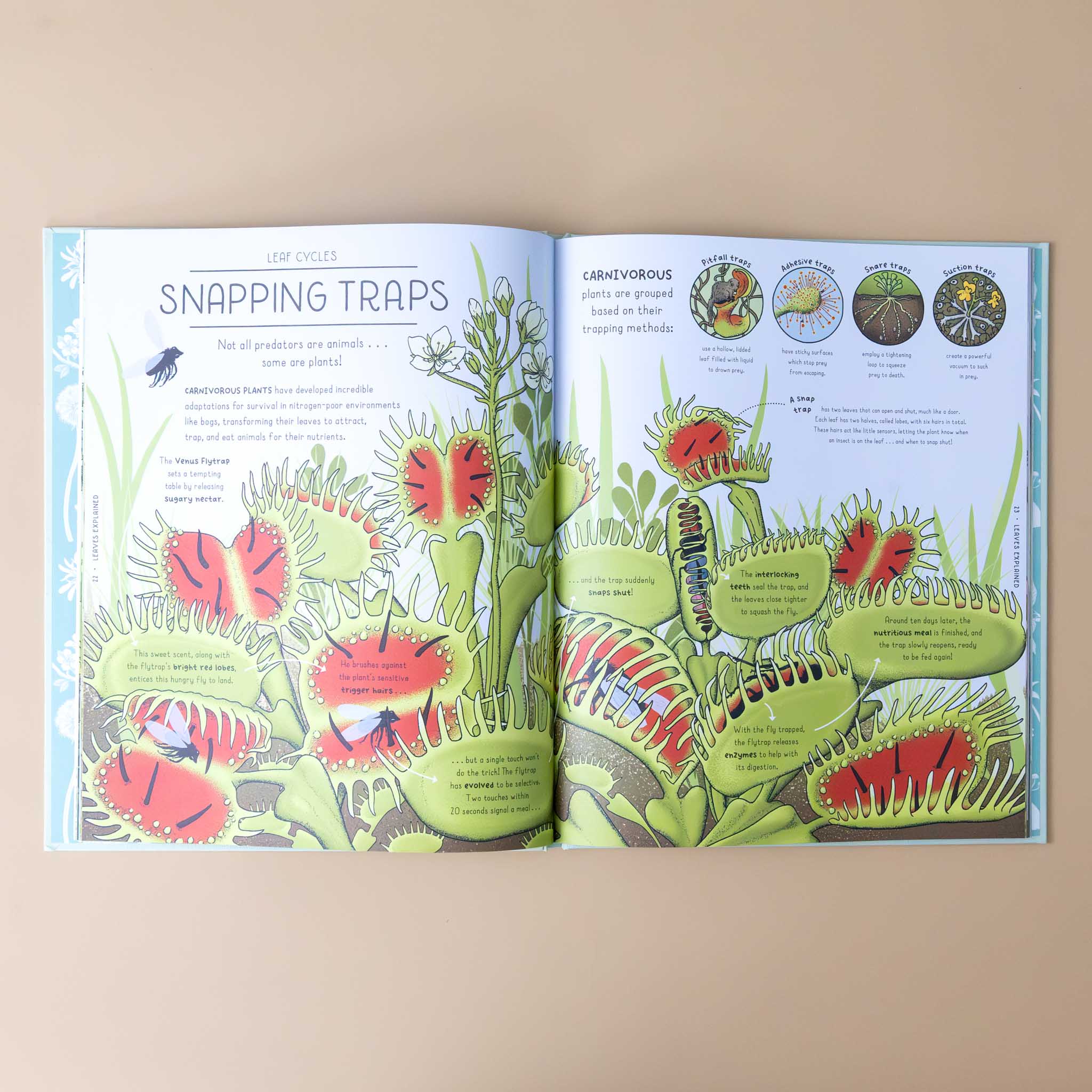 nature-explained-a-family-guide-to-20-nature-cycles-illustration-of-snapping-traps-and-text