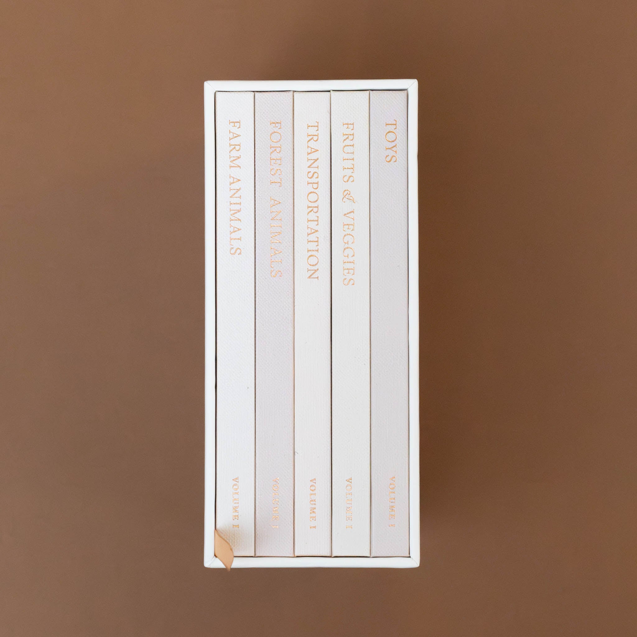 books-gold-foil-labeled-toys-fruits-and-veggies-transportation-forest-animals-and-farm-animals-house-in-a-case