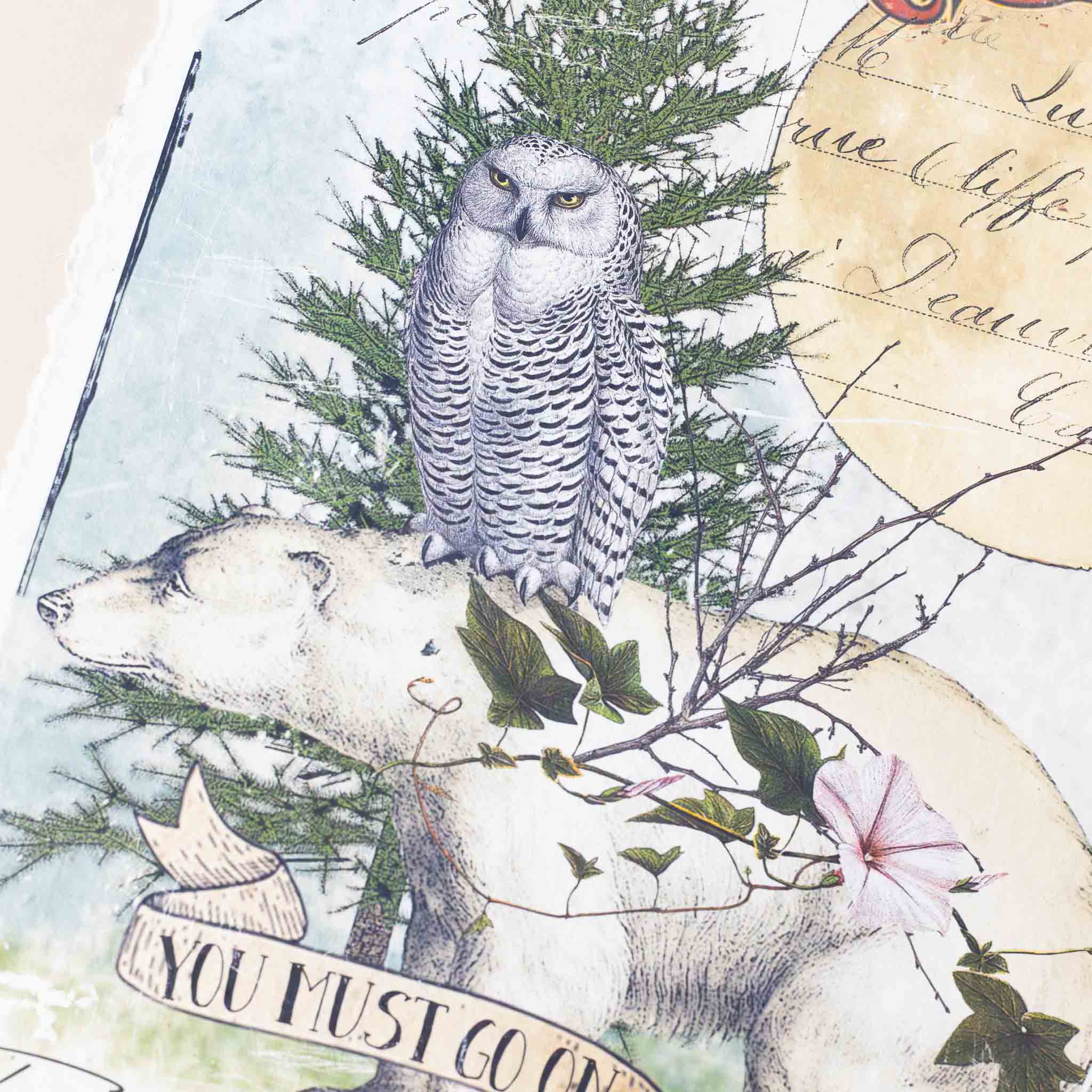paper-print-go-on-adventures-polar-bear-moon-snow-owl-pine-and-text-wanderlust-and-script