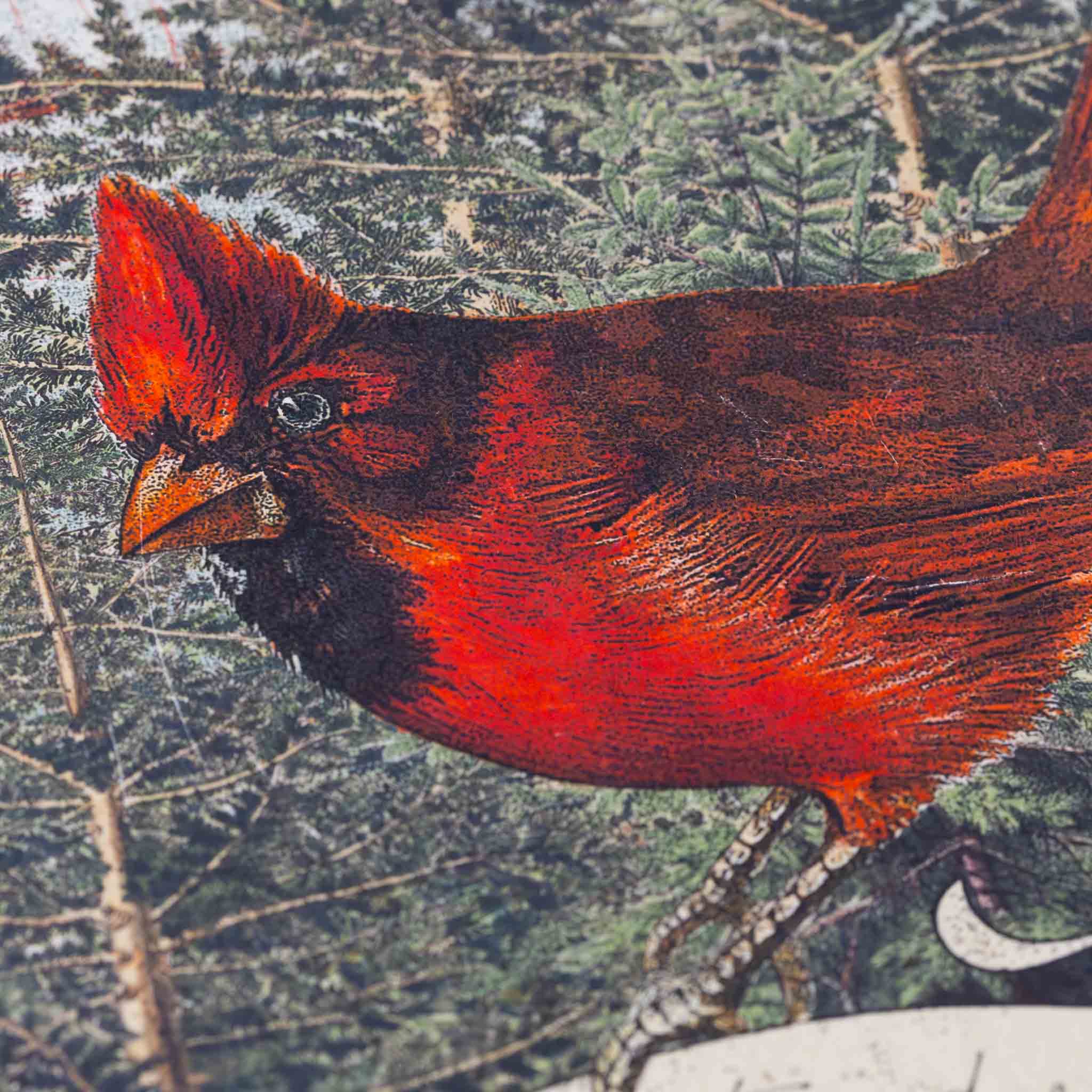 paper-print-songs-unsung-image-of-red-cardinal-amongst-pines-with-walt-whitman-quote