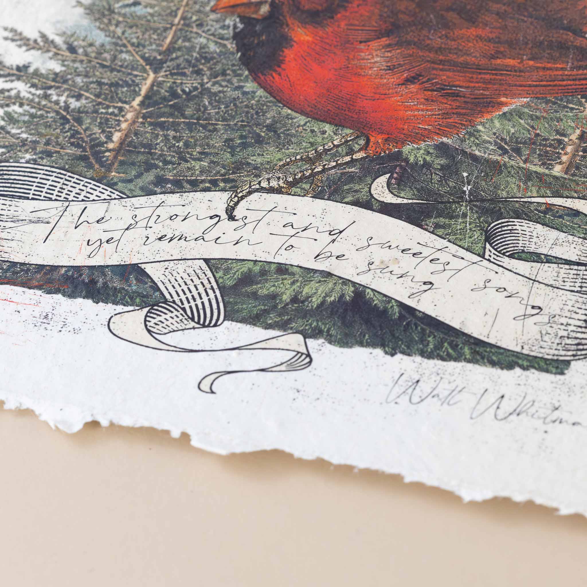 paper-print-songs-unsung-image-of-red-cardinal-amongst-pines-with-walt-whitman-quote