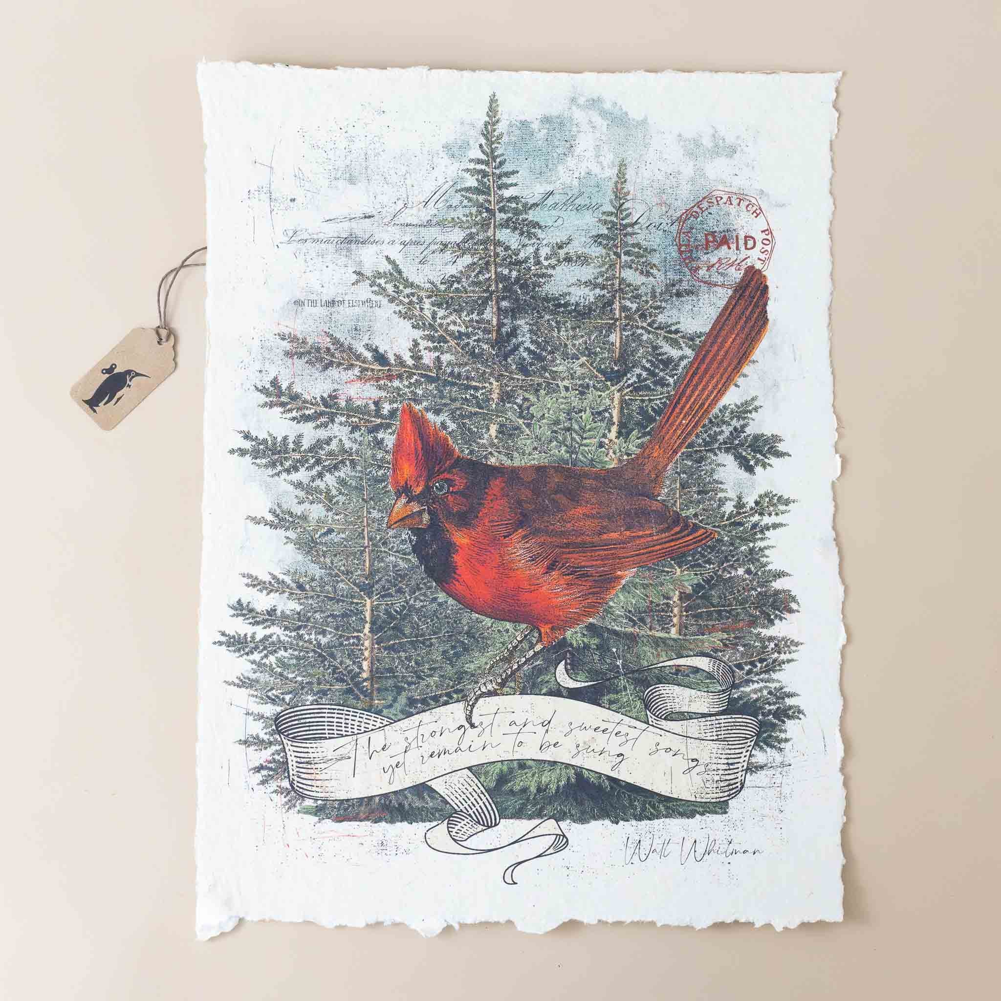 paper-print-songs-unsung-image-of-red-cardinal-amongst-pines-with-walt-whitman-quote