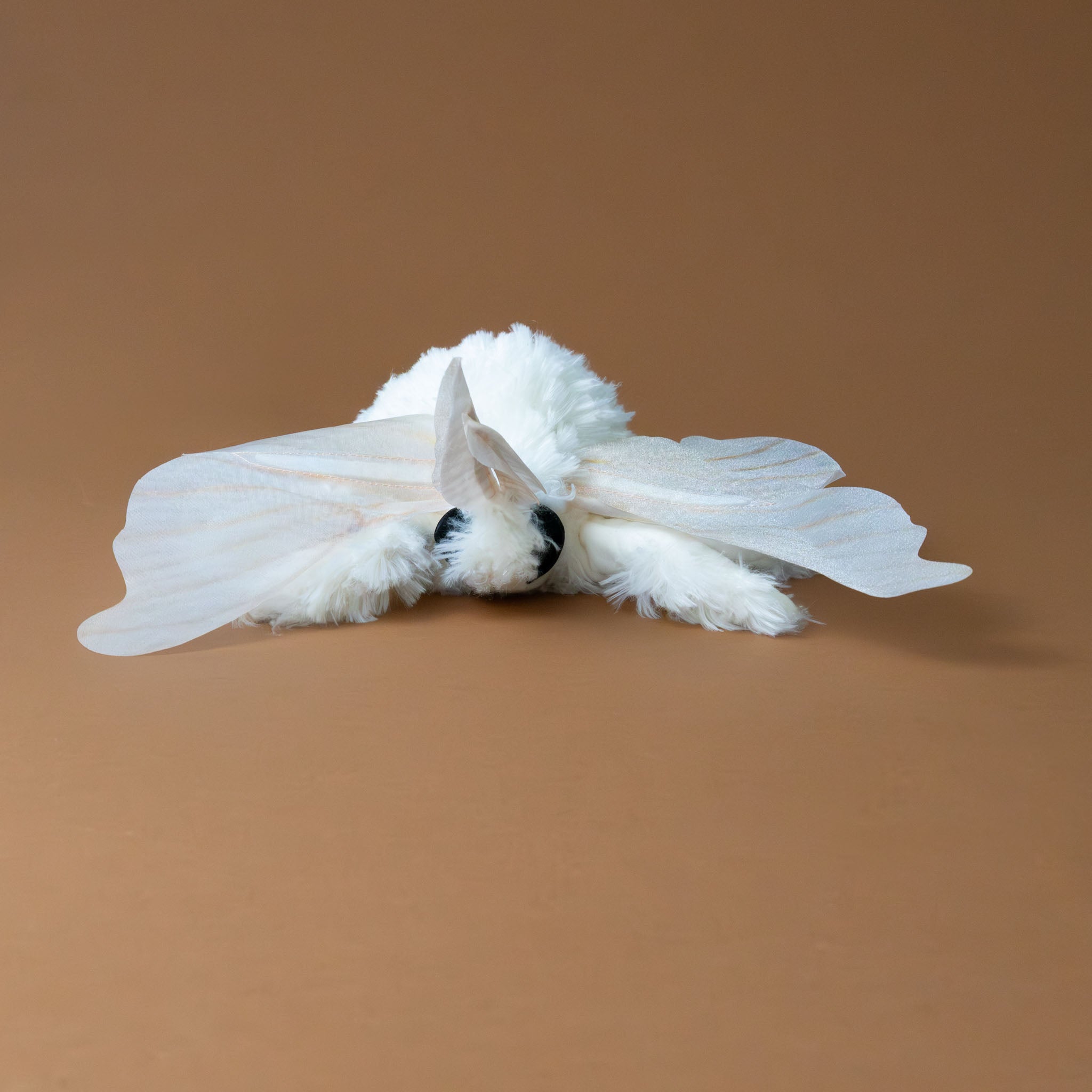 white-with-translucent-wings-poodle-moth-hand-puppet-front