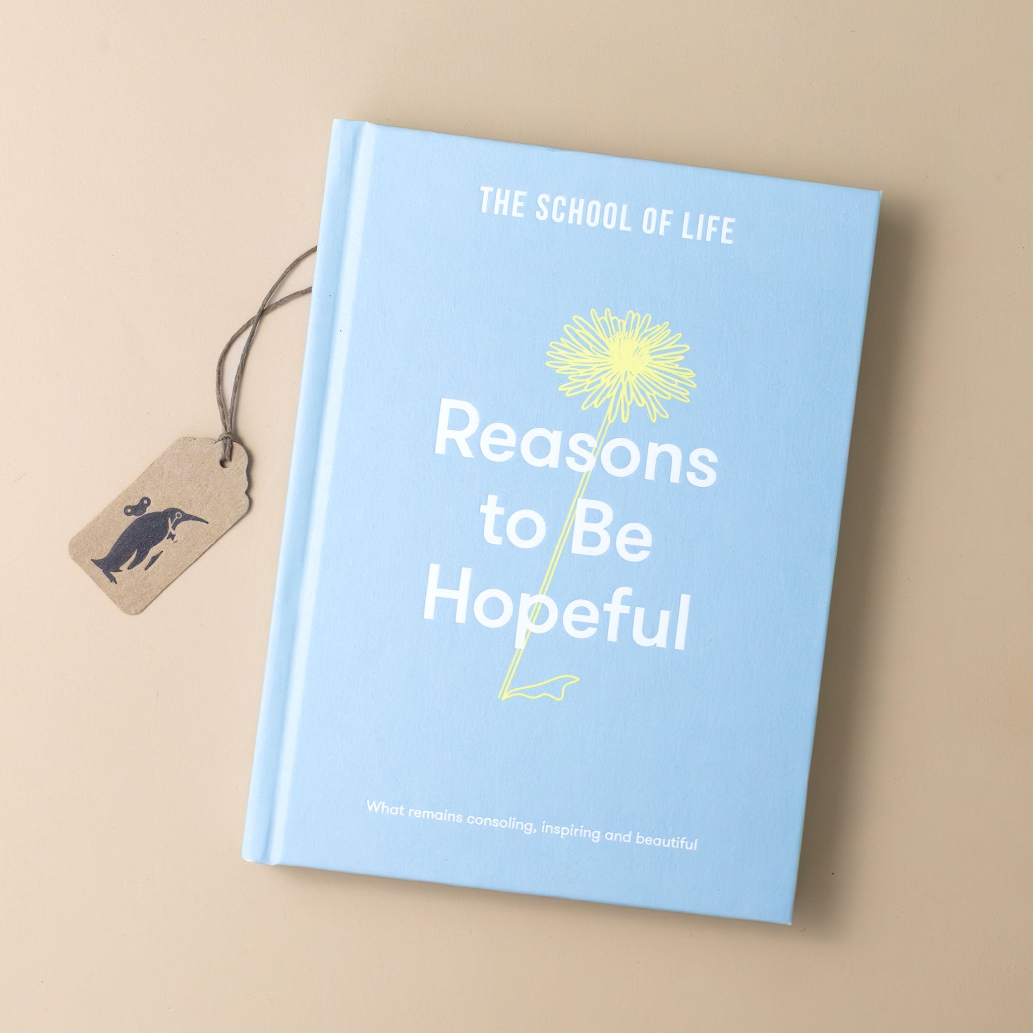 reasons-to-be-hopeful-book-soft-blue-cover-with-yellow-flower