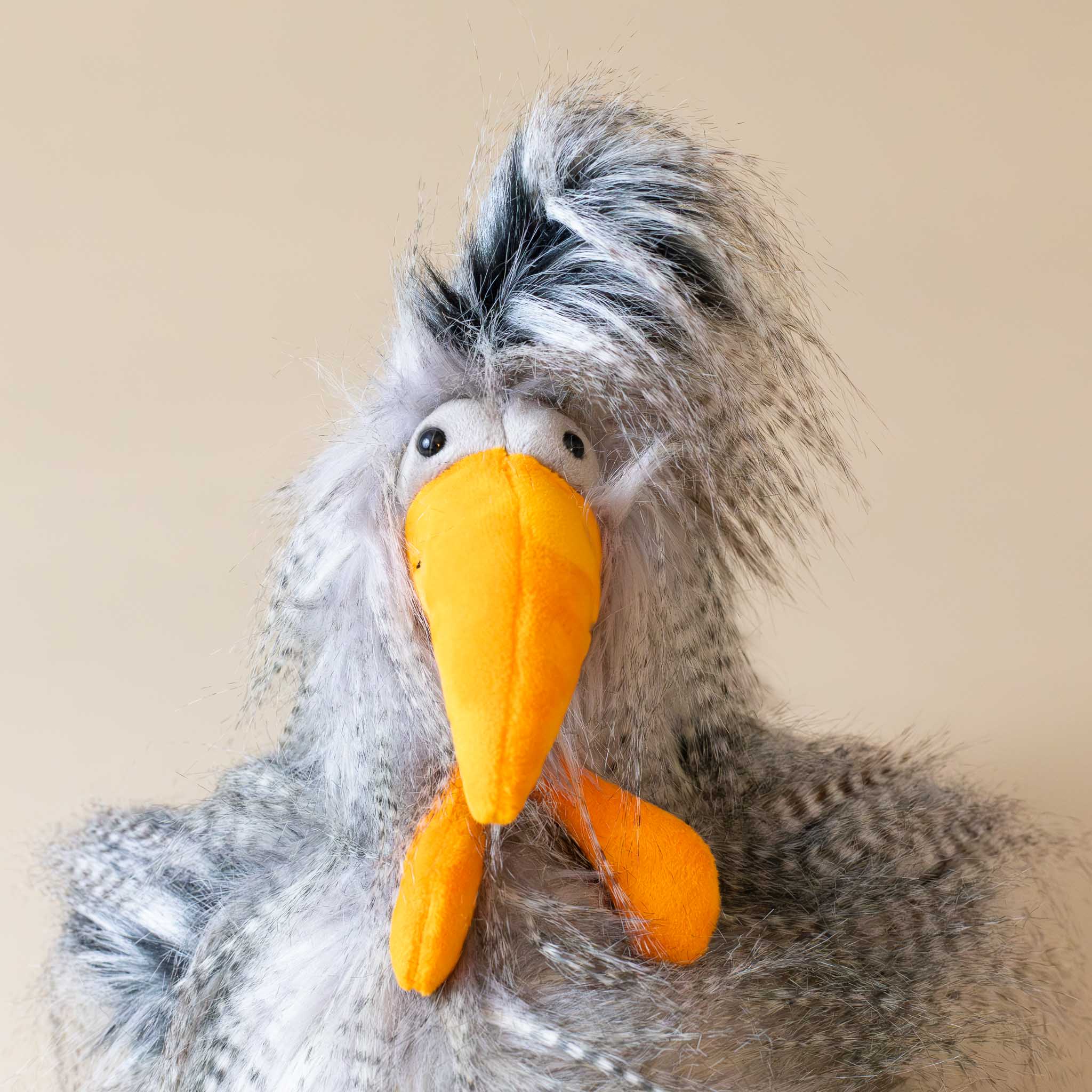 roost-boost-rooster-grey-plume-with-orange-beak-and-feet-face