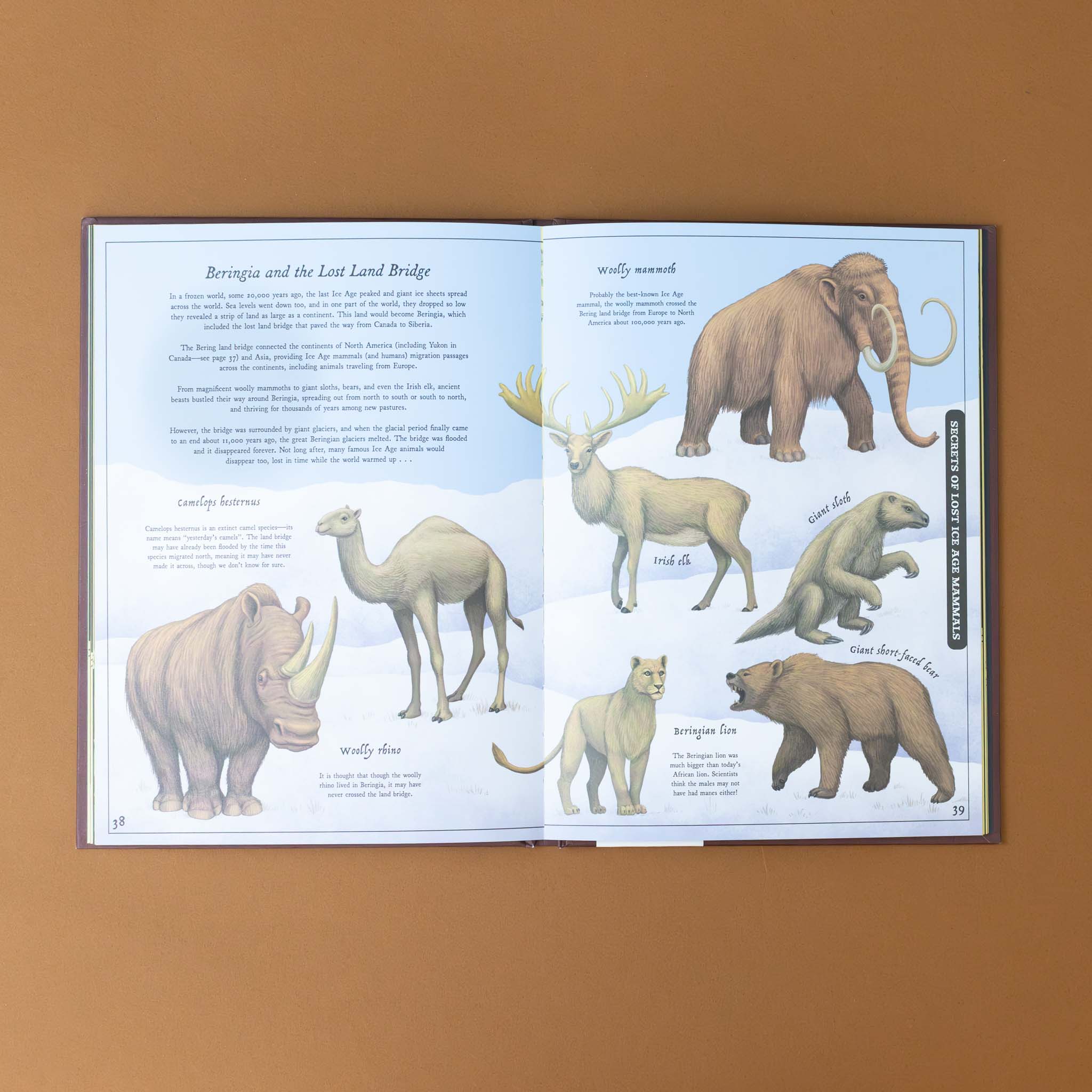 secret-stories-of-lost-beasts-page-with-different-ice-age-creatures-and-text