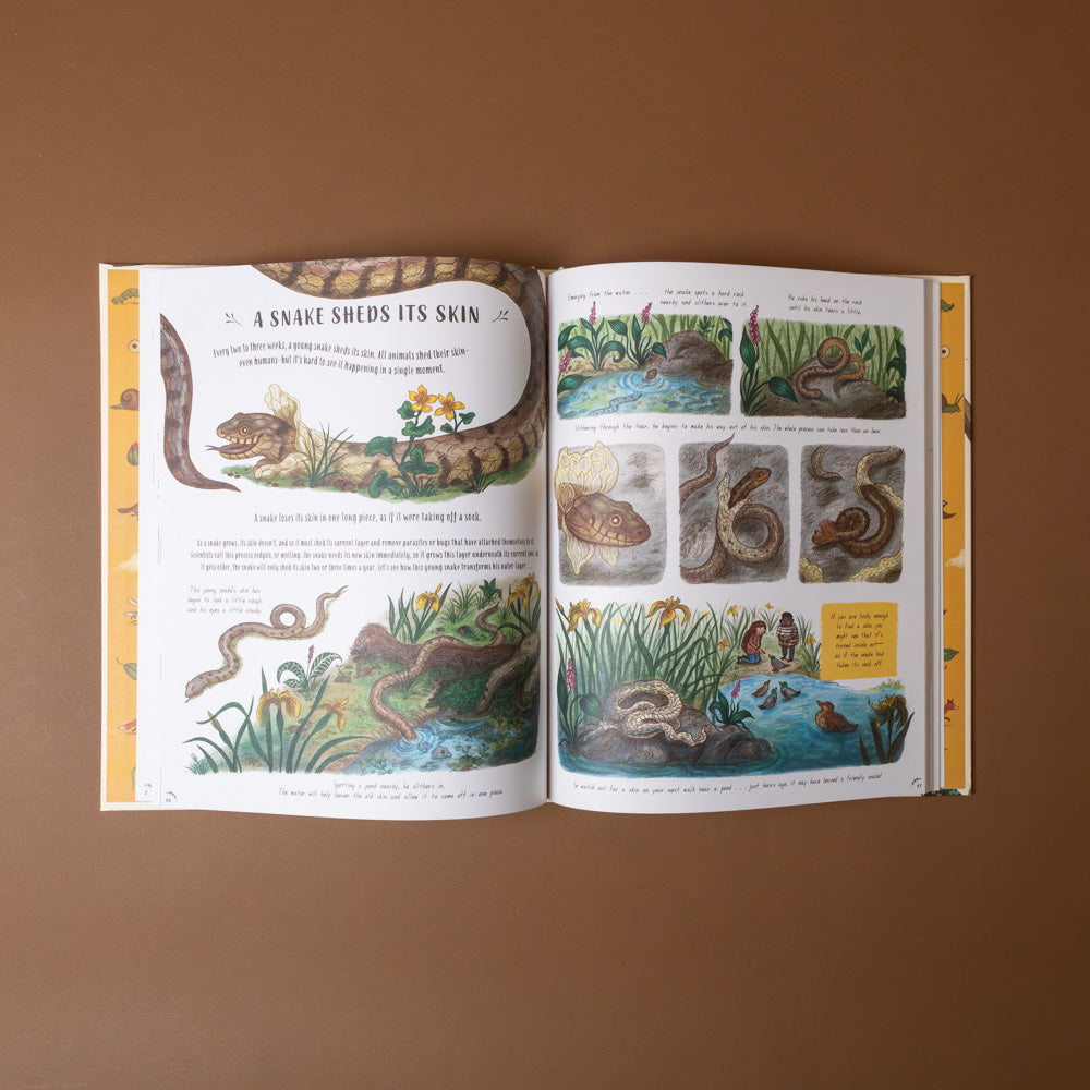 slow-down-box-set Open book with educational content on snakes against a brown background