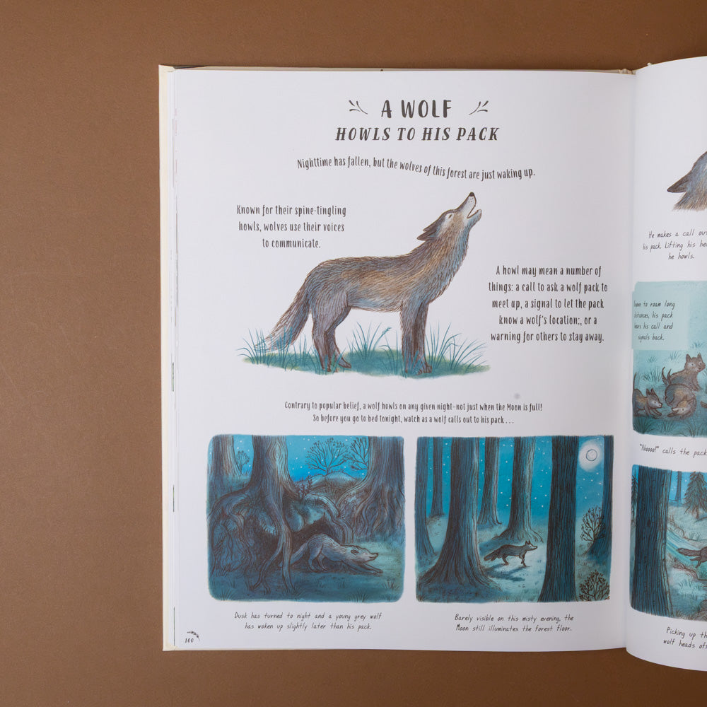 slow-down-box-set Open book showing a wolf illustration and text on a brown background