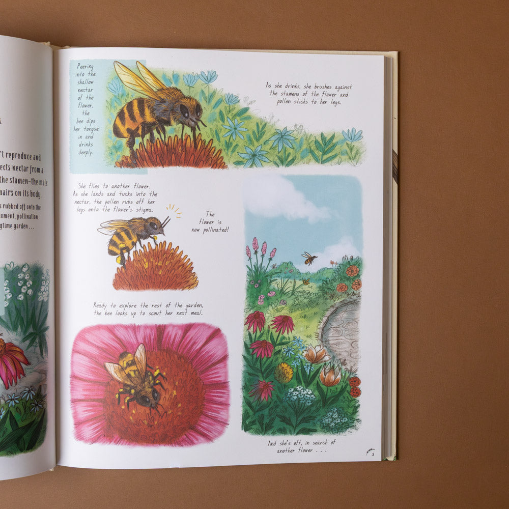 slow-down-box-set Open book with illustrations of bees and flowers on a brown background