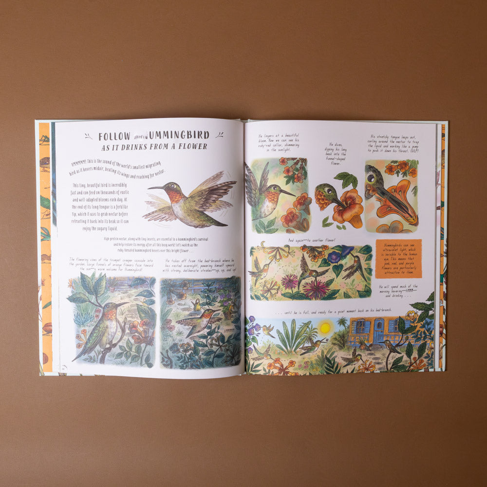 slow-down-box-set Open book with illustrations of hummingbirds and flowers on a brown background