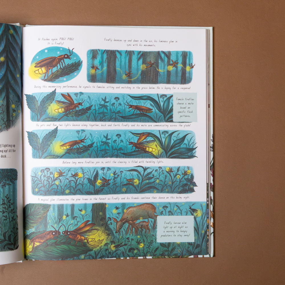 slow-down-box-set Illustrated book page with nature-themed illustrations on a brown background