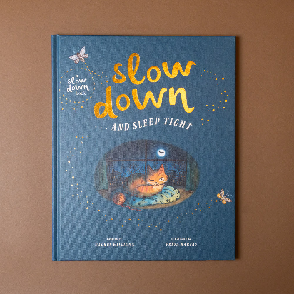 Book titled 'Slow Down and Sleep Tight' with a cat illustration on a blue cover against a brown background