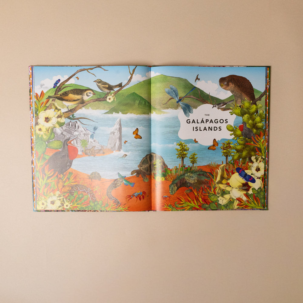 the-fantastical-safari-book Open book showing illustrations of the Galapagos Islands with animals and landscape.