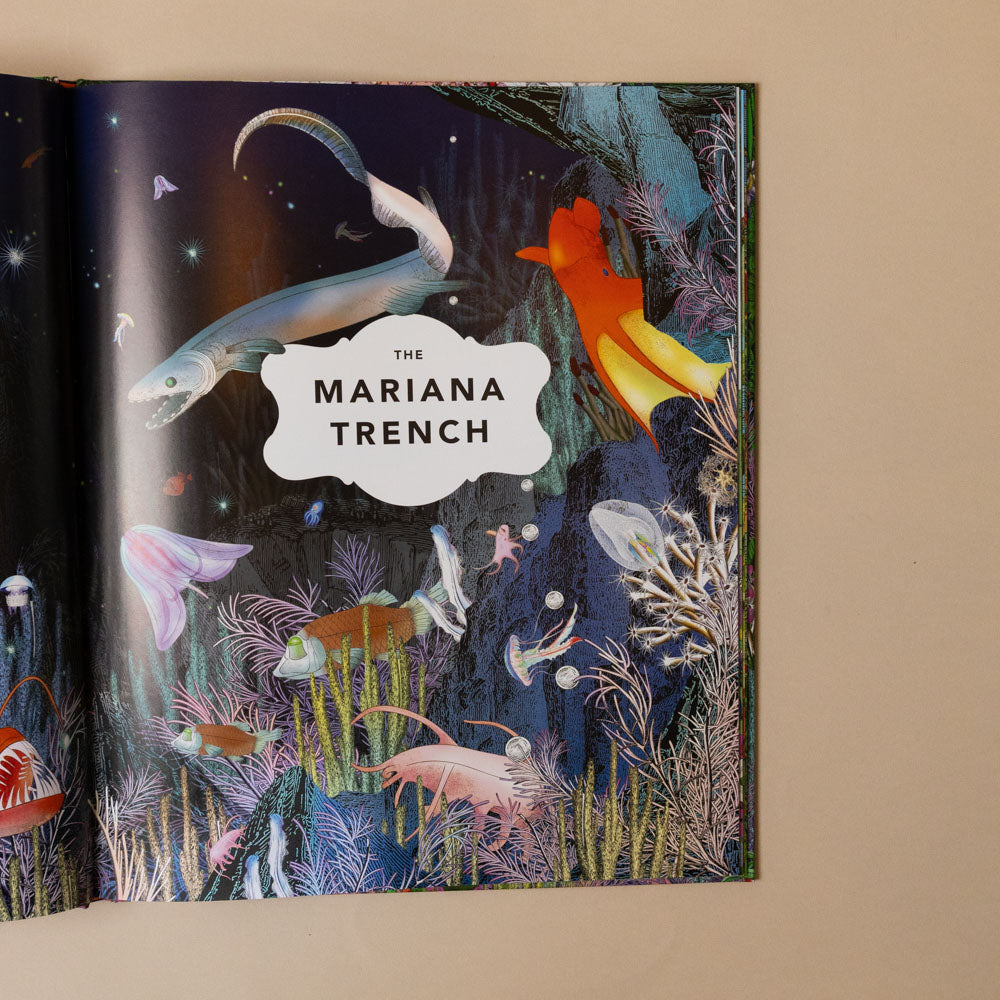 the-fantastical-safari-book Illustration of marine life in the Mariana Trench with colorful fish and plants on a dark background.