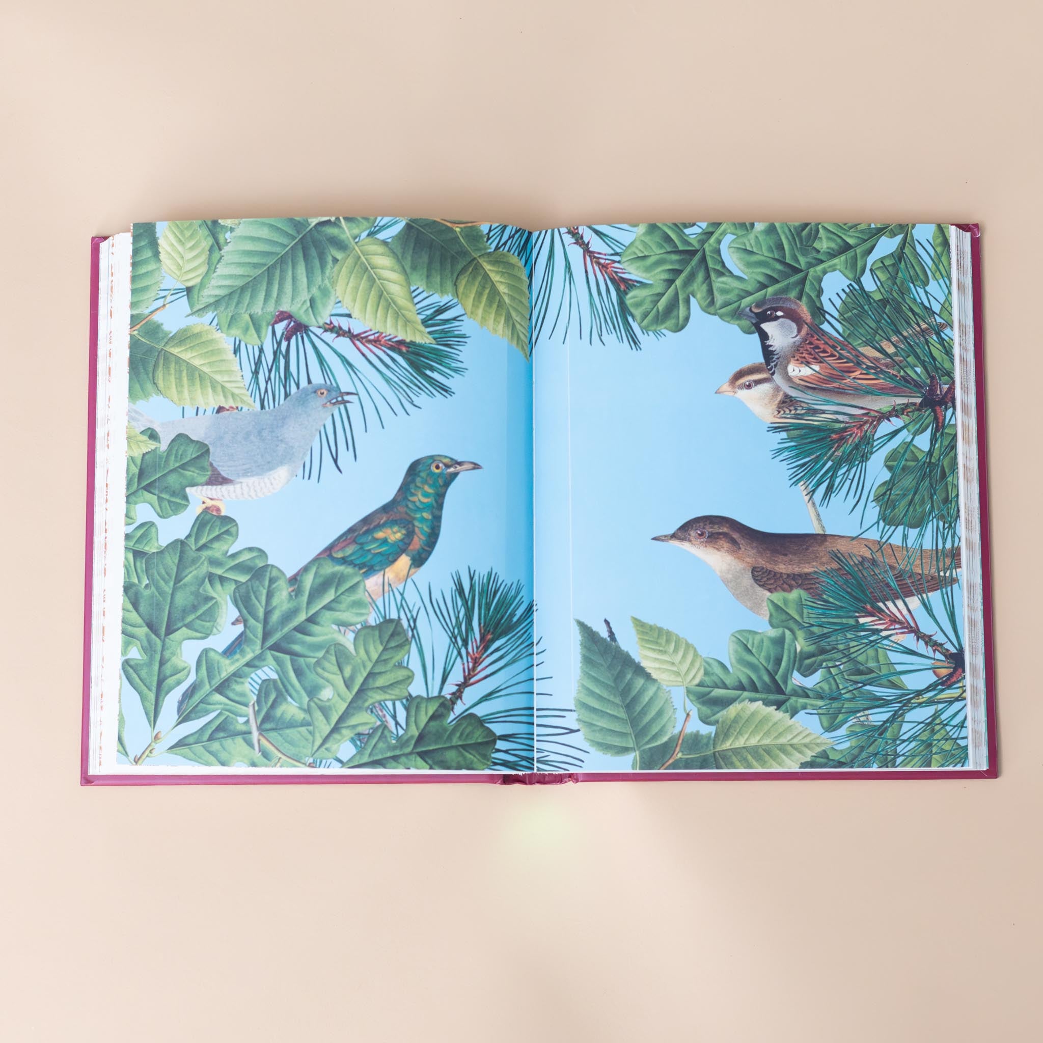 realistic-images-on-full-page-sticker-with-sky-blue-background-of-different-leaves-birds-and-pines