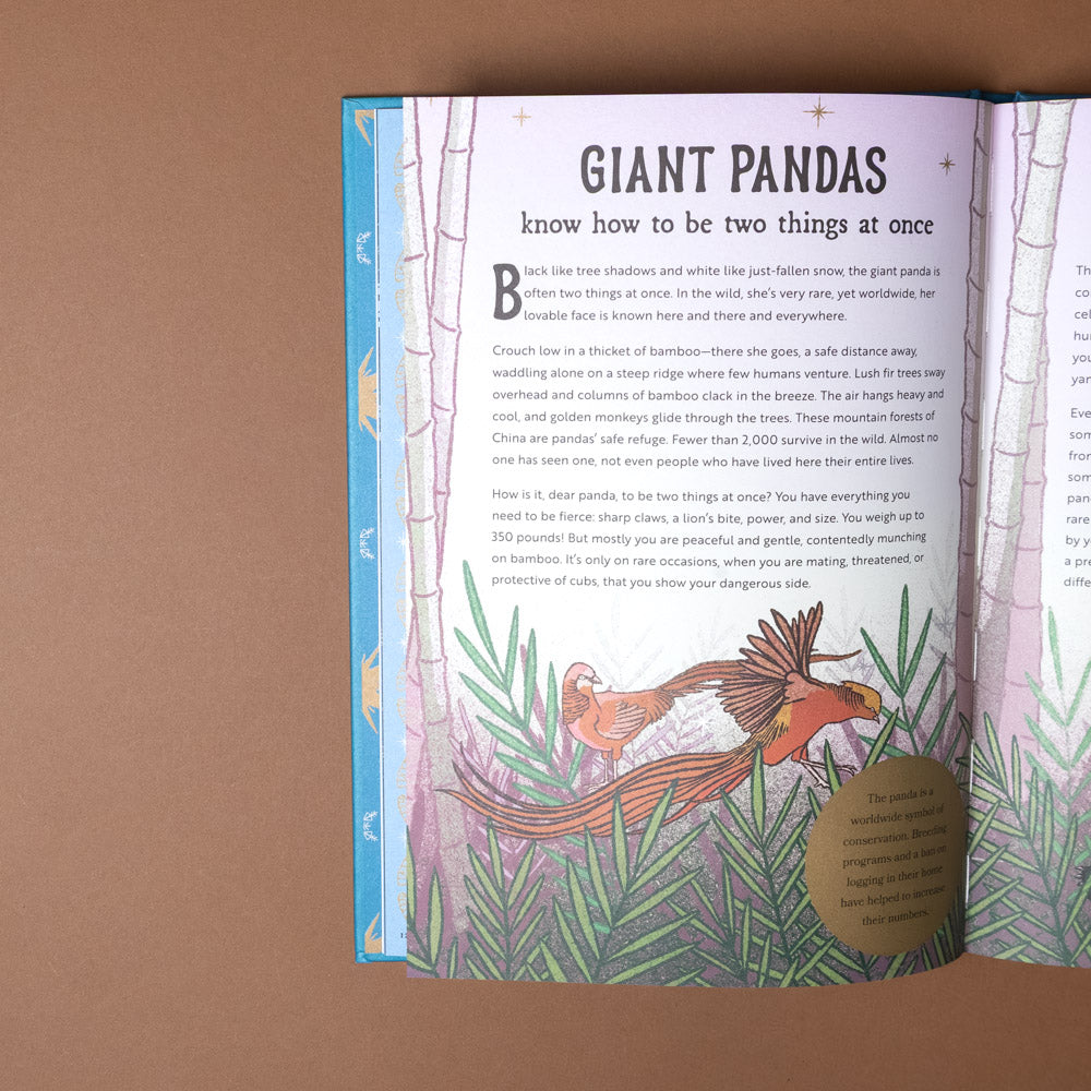 the-hidden-wisdom-of-animals Open book with a page about giant pandas on a brown background