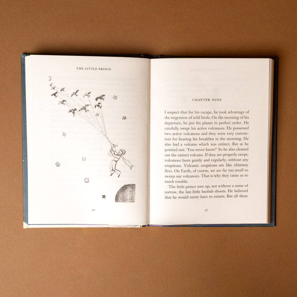 the-little-prince Open book of 'The Little Prince' on a brown background