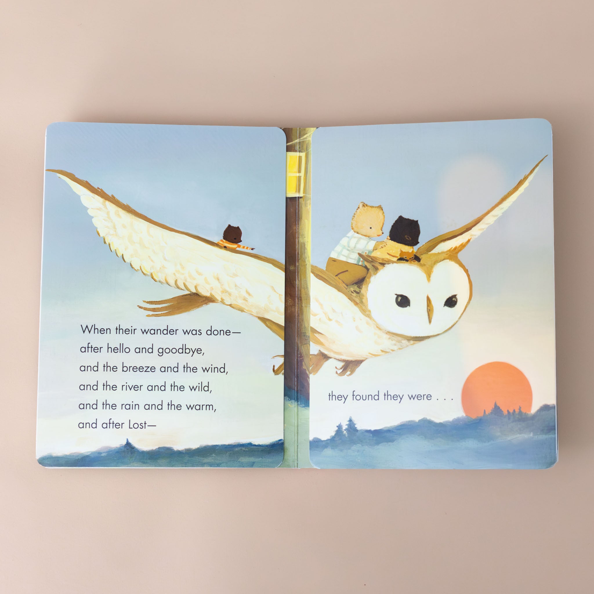 an-owl-flying-transporting-the-cat-family-while-the-sun-sets