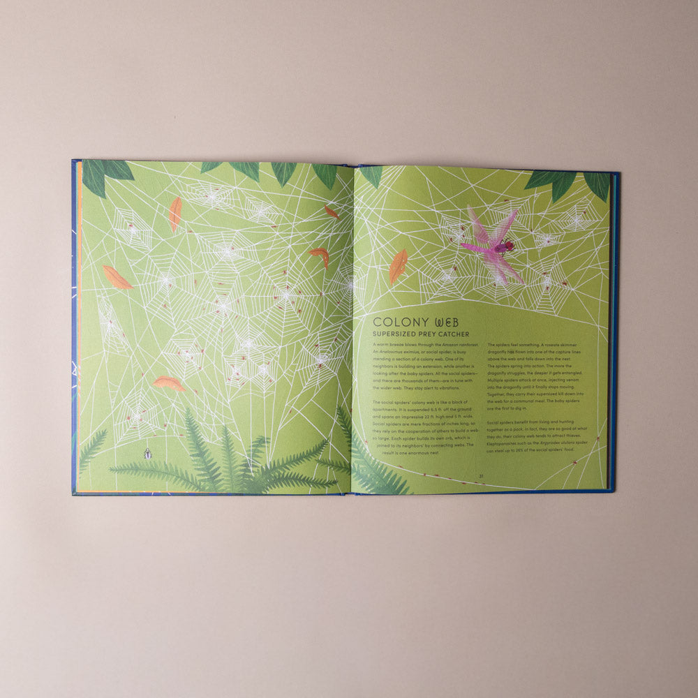 the-secret-world-of-spiderwebs Open book with illustrations of spider webs and text on a beige background