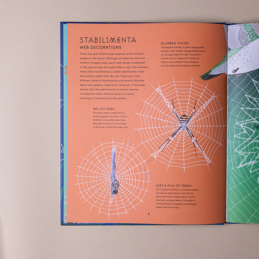 the-secret-world-of-spiderwebs Open book showing illustrations of spider webs and text on a beige background