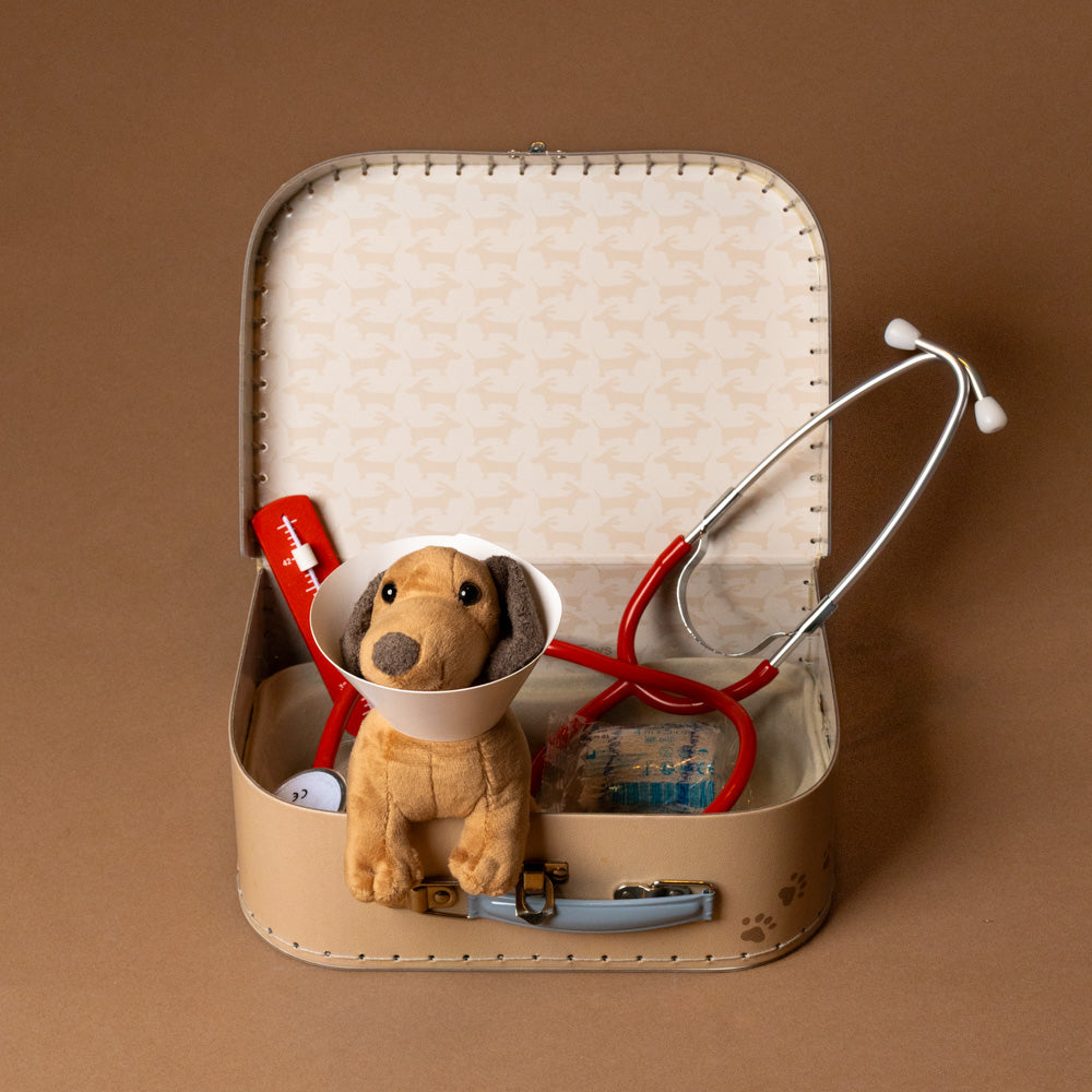 veterinary-case Toy doctor's kit with a teddy bear, stethoscope, and medical tools on a brown background