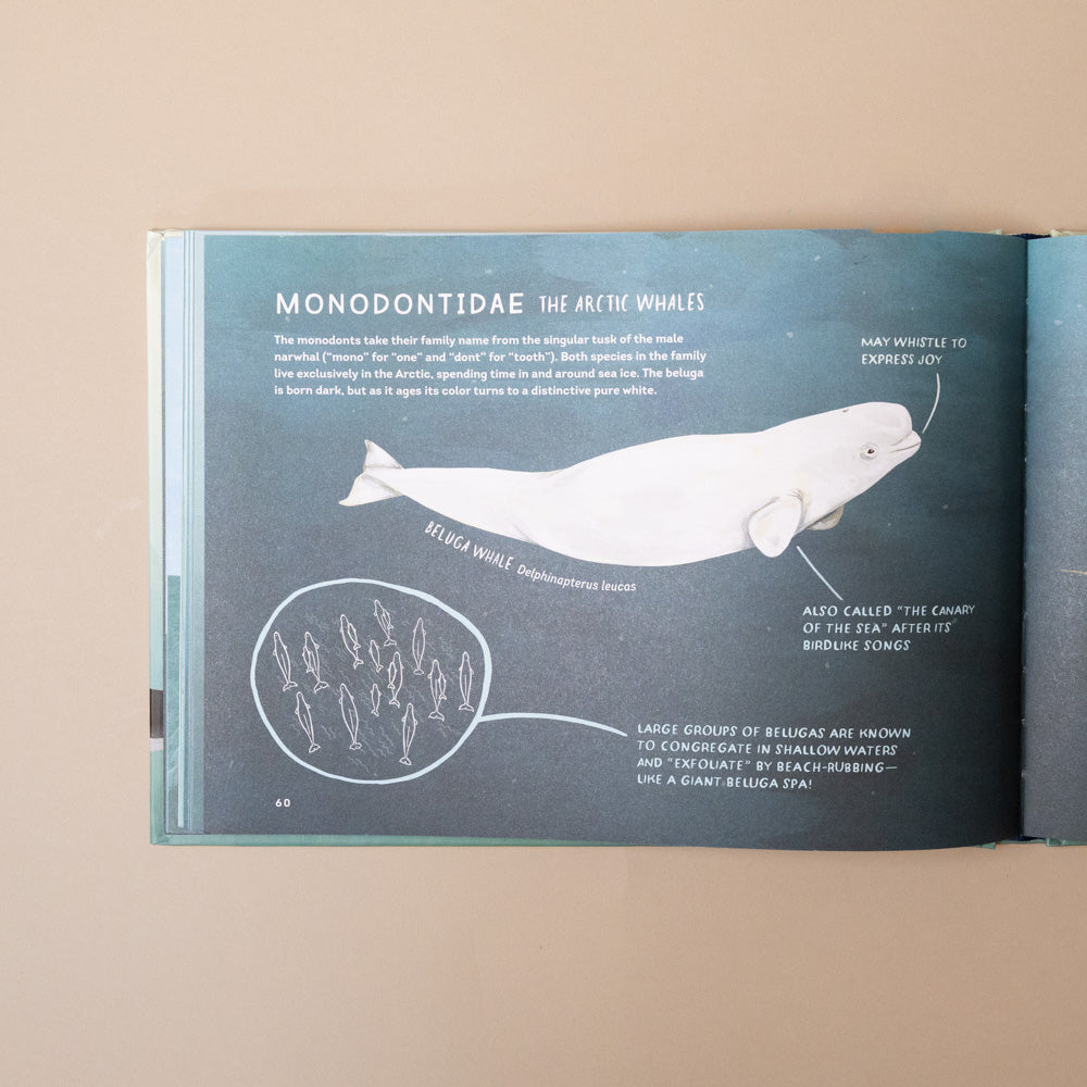 whales-book Book page with illustration of a whale and text on a beige background