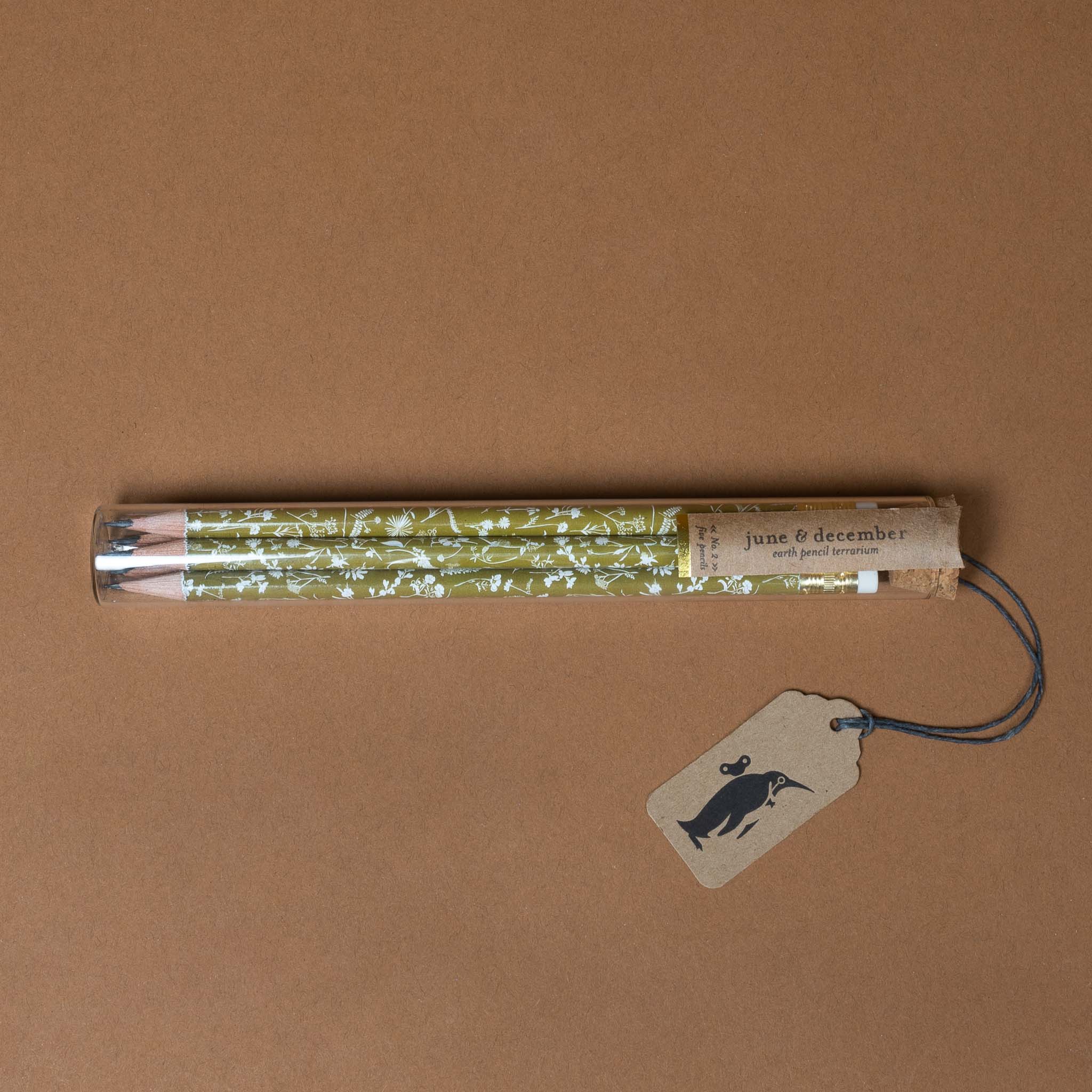 Glass tube with Pencil Terrarium Earth Mix