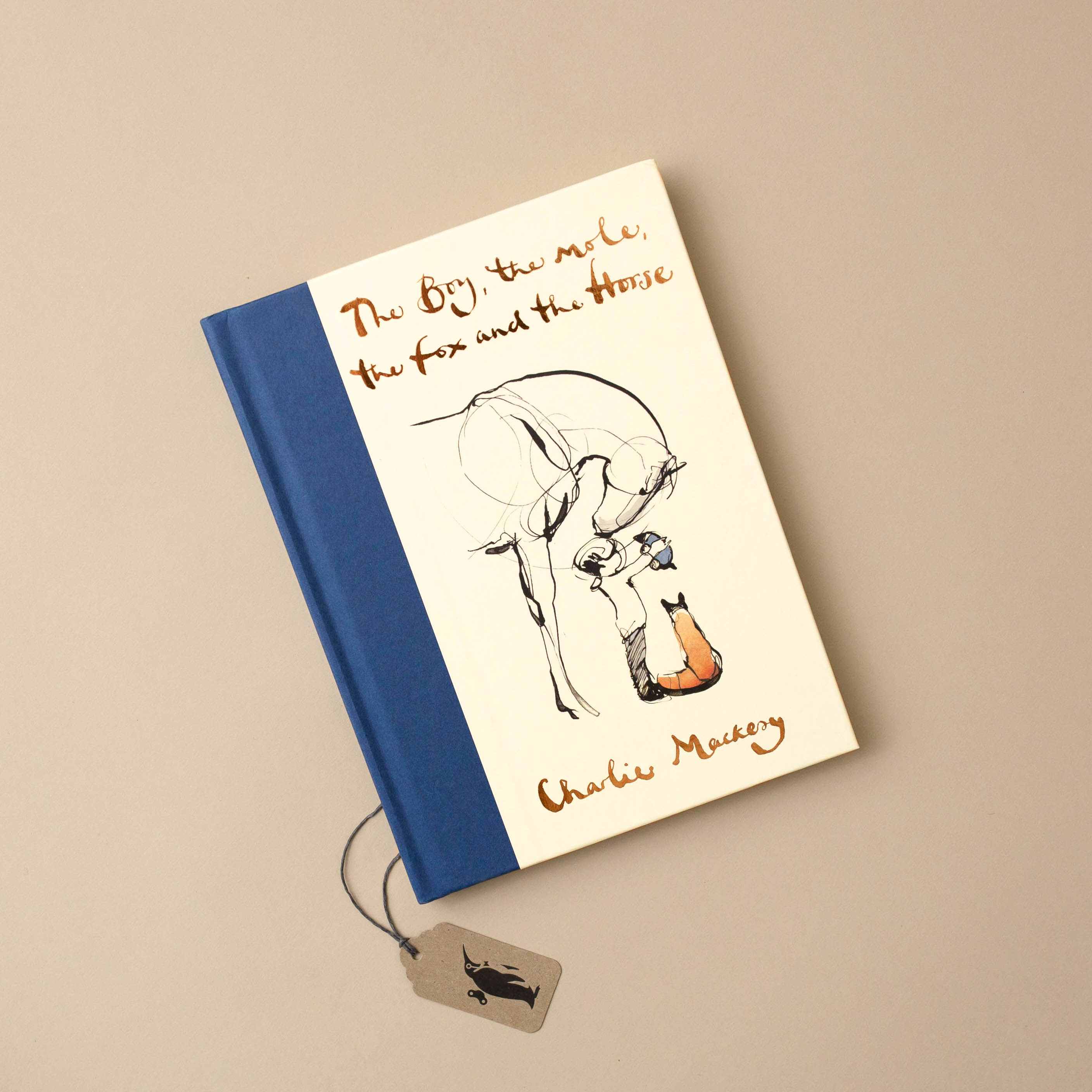 Illustrated-front-hardcover-of-the-boy-the-mole-the-fox-the-horse-book